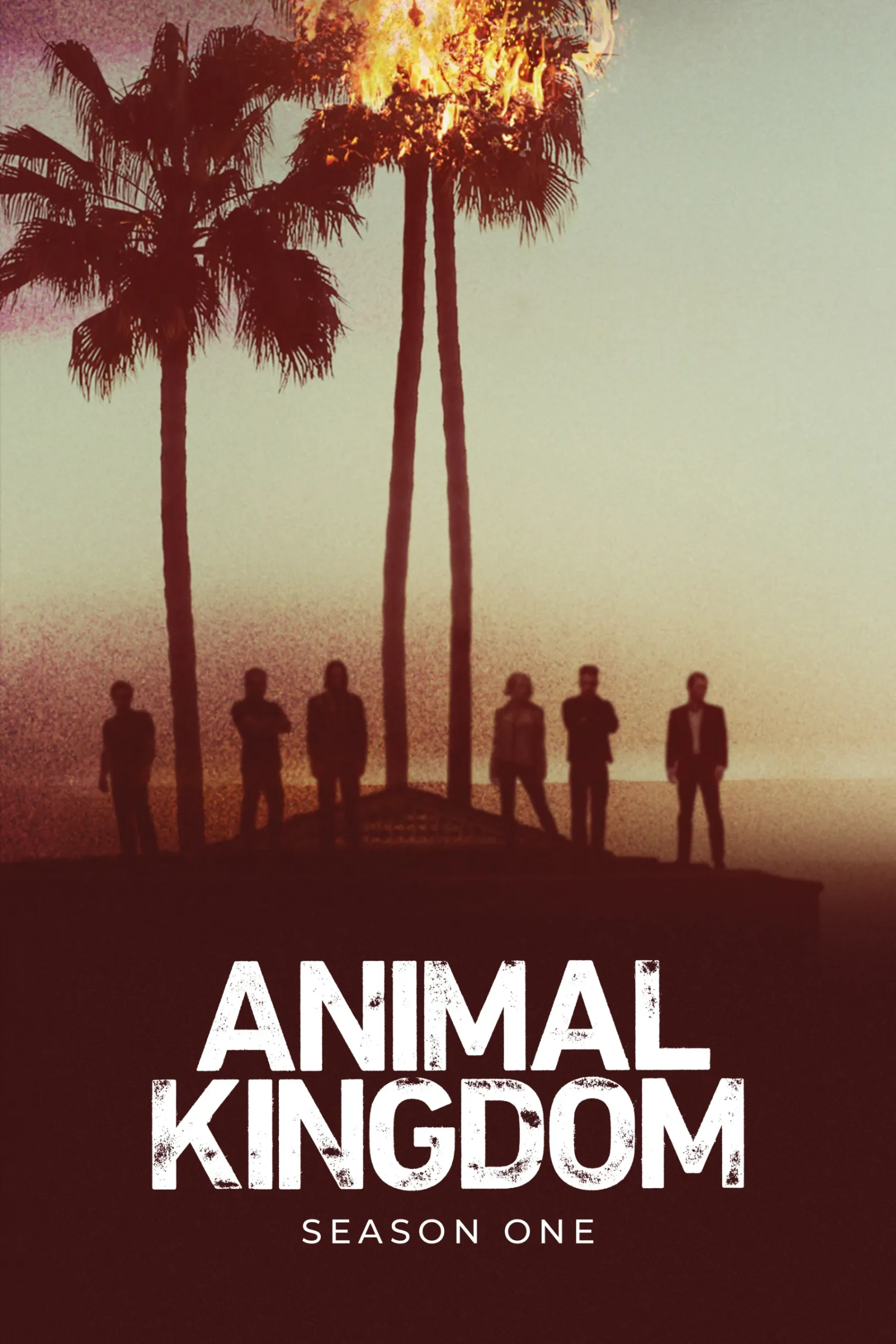 Animal Kingdom Season 1