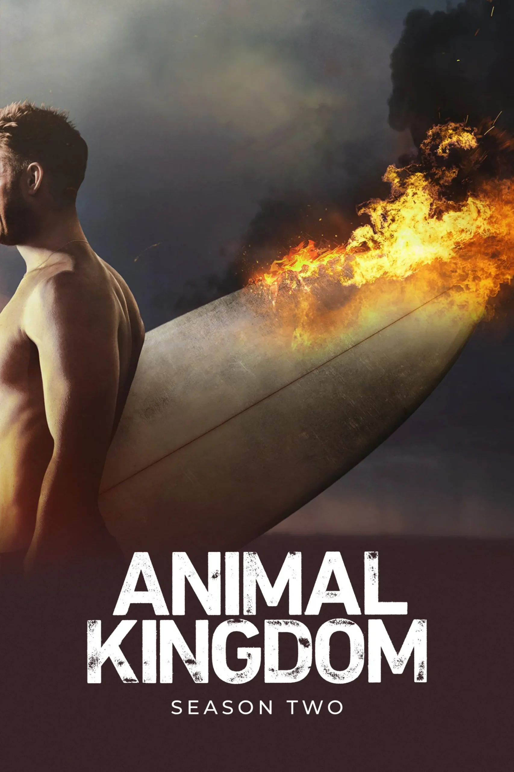Animal Kingdom Season 2