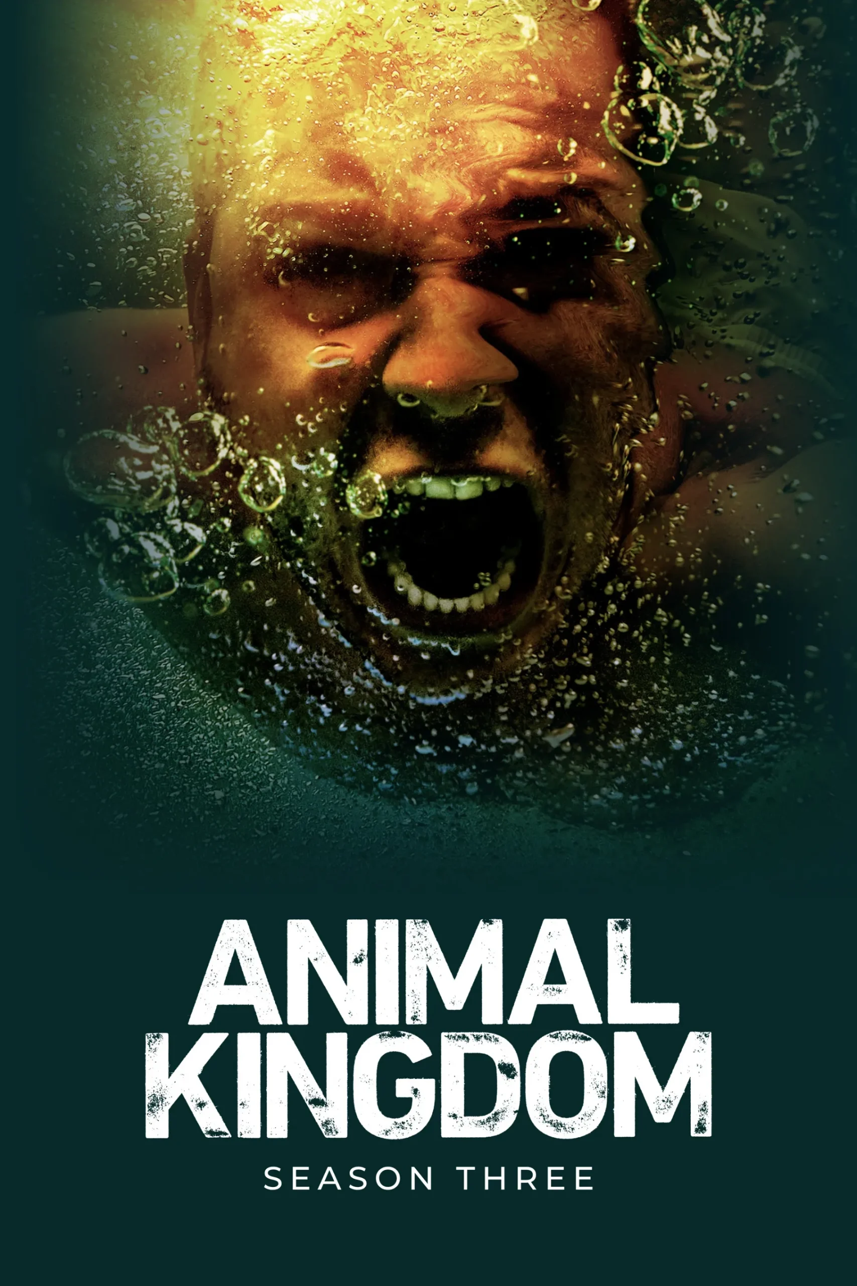 Animal Kingdom Season 3