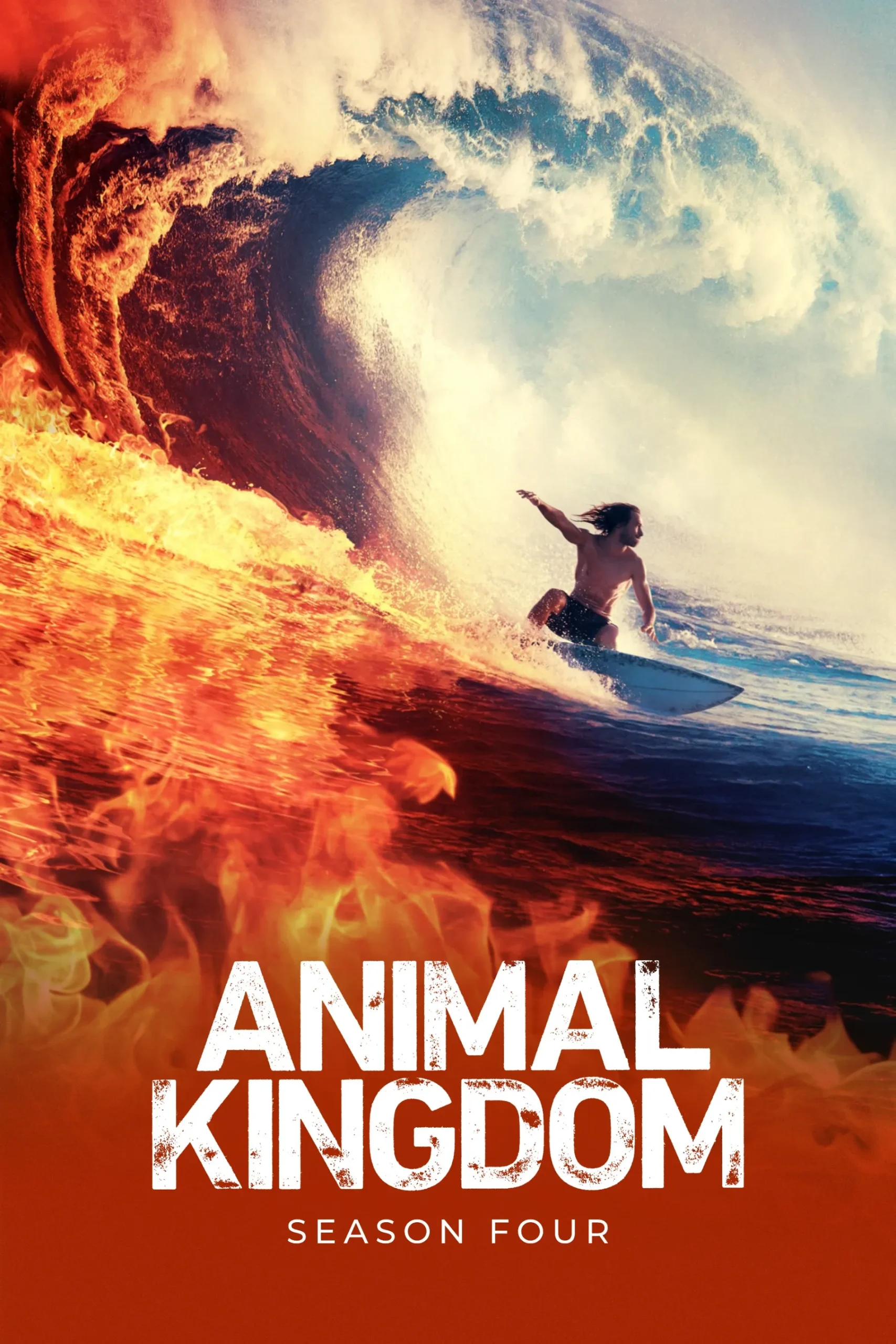 Animal Kingdom Season 4