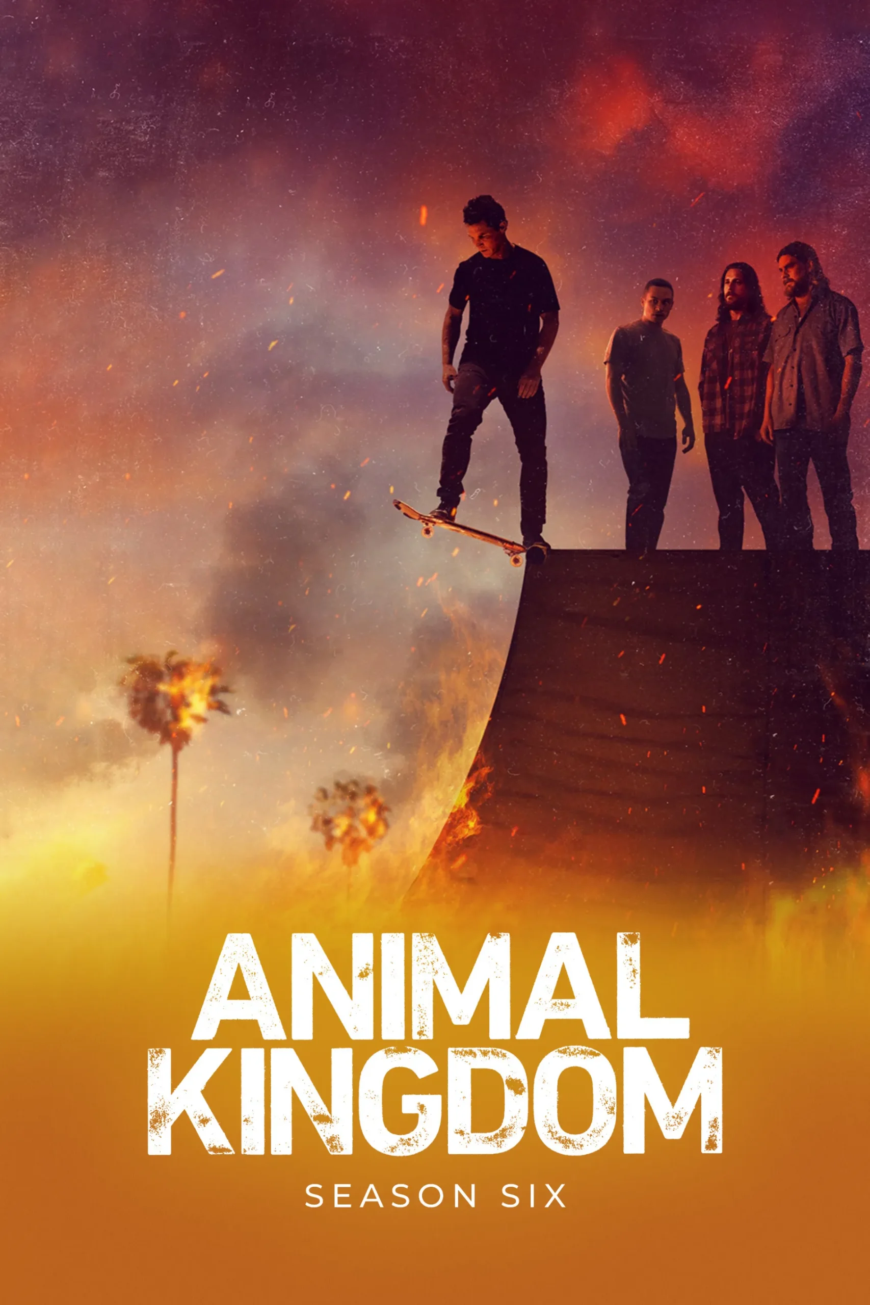 Animal Kingdom Season 6