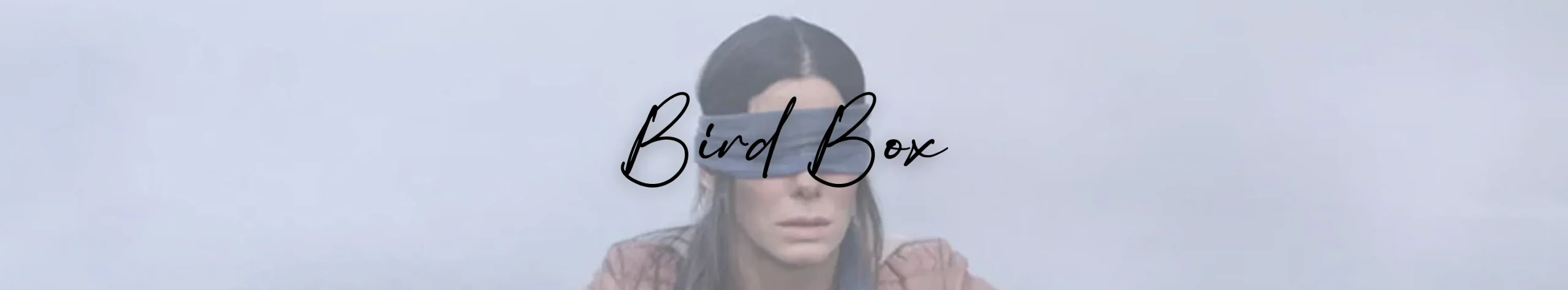 Bird Box