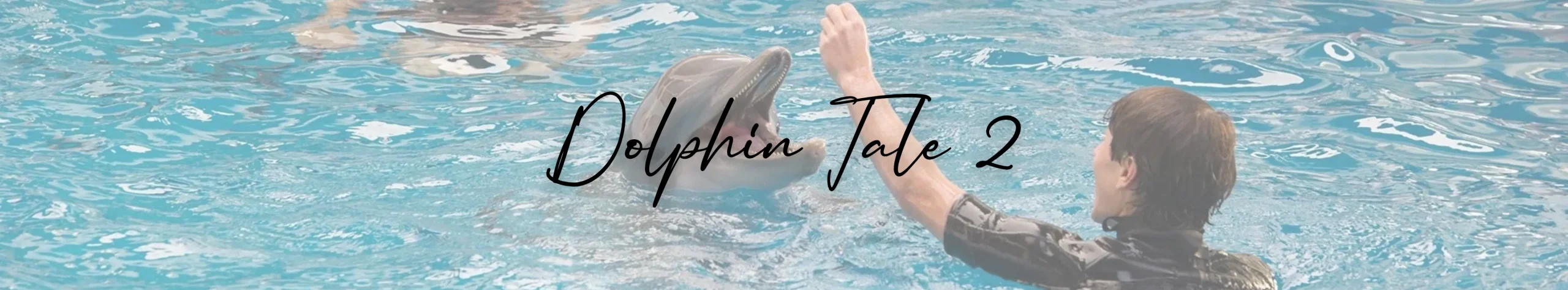 Dolphin Tale 2