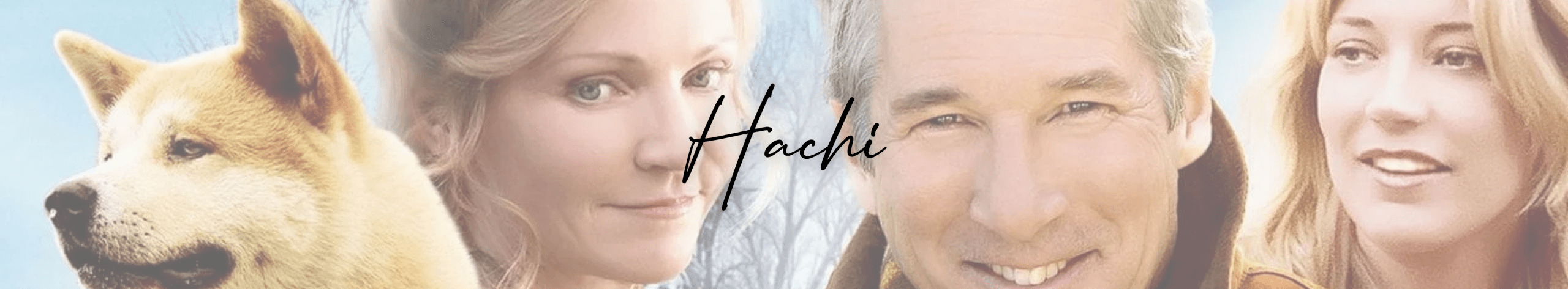 Hachi