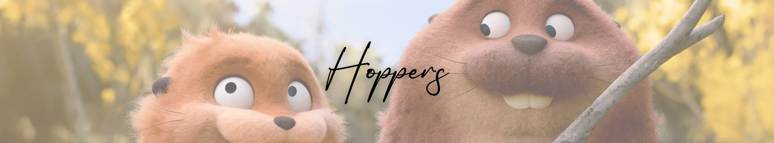Hoppers