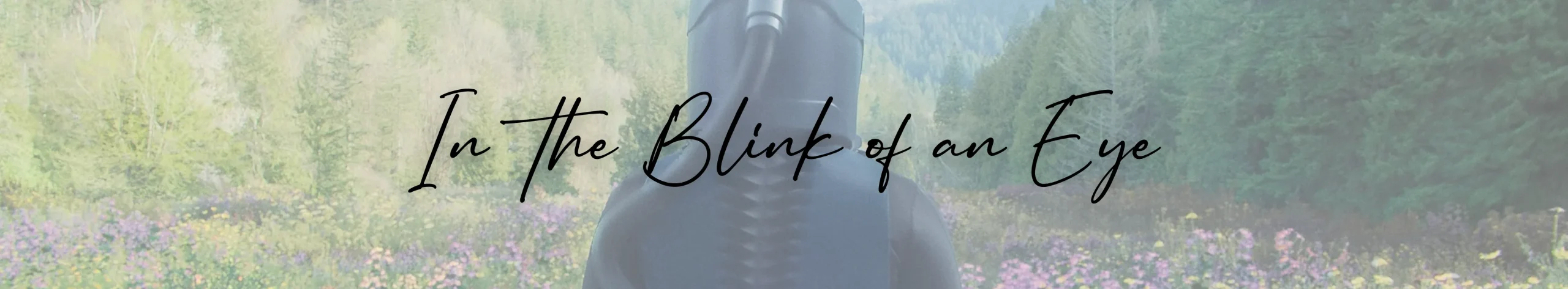 In the Blink of an Eye