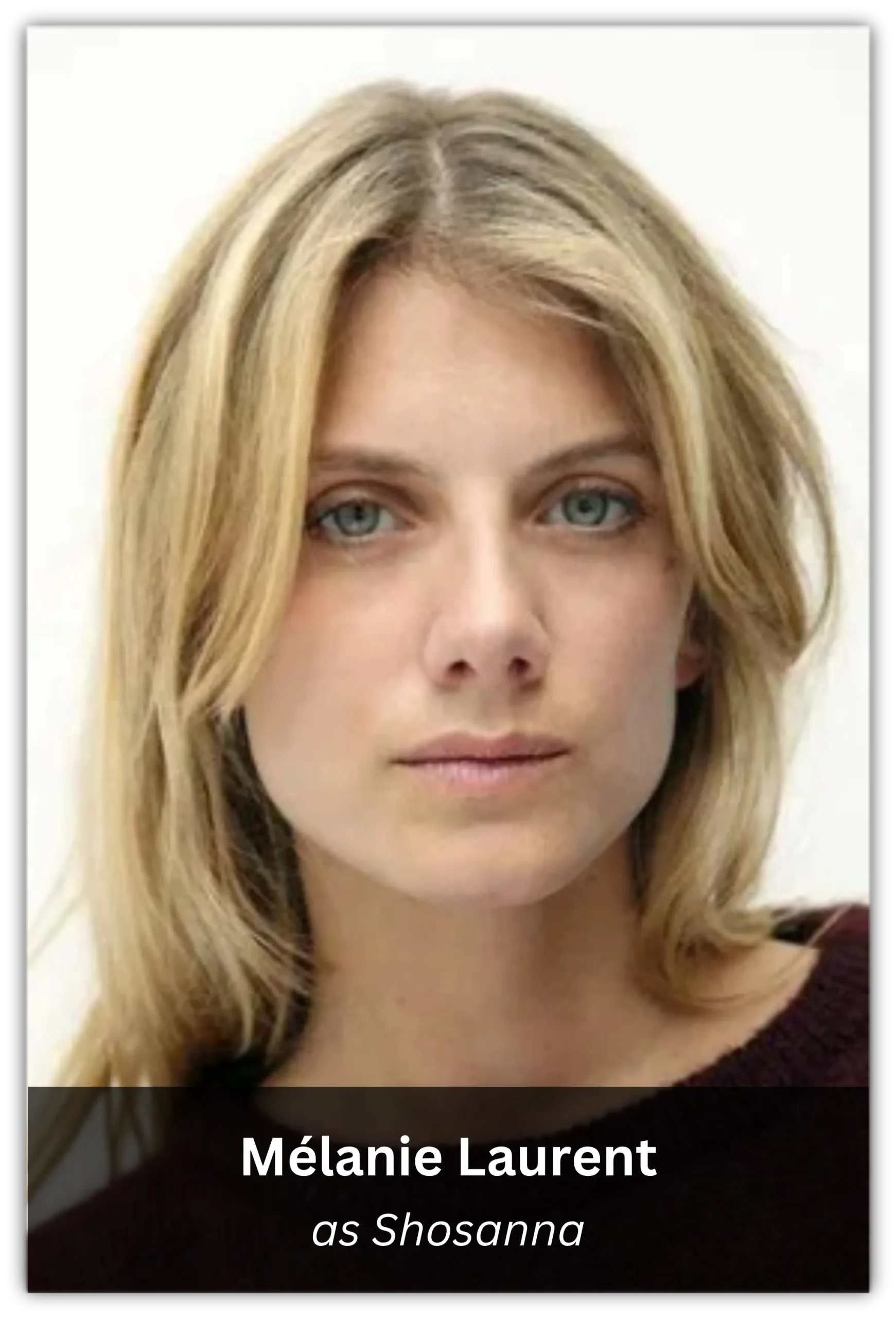 Inglourious Basterds (5)