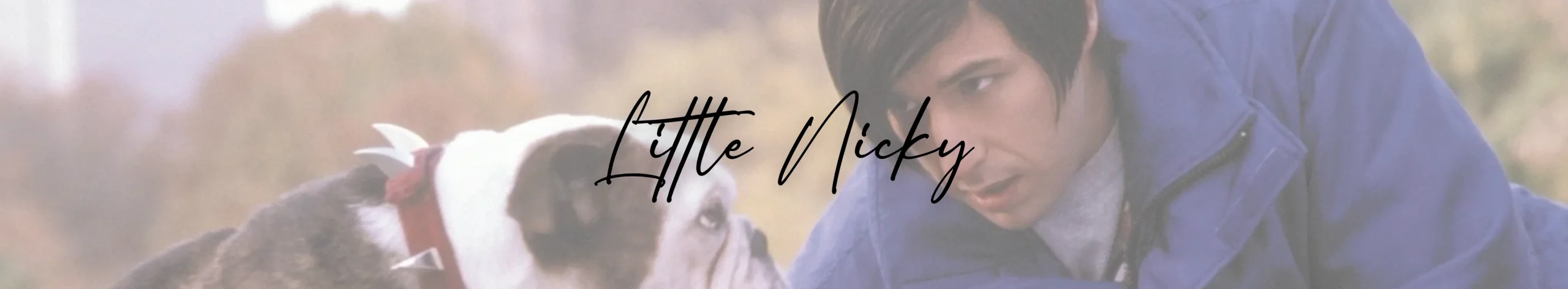 Little Nicky