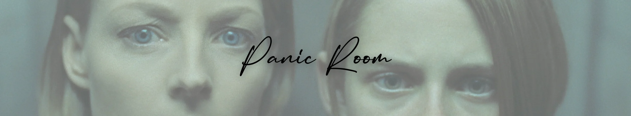 Panic Room