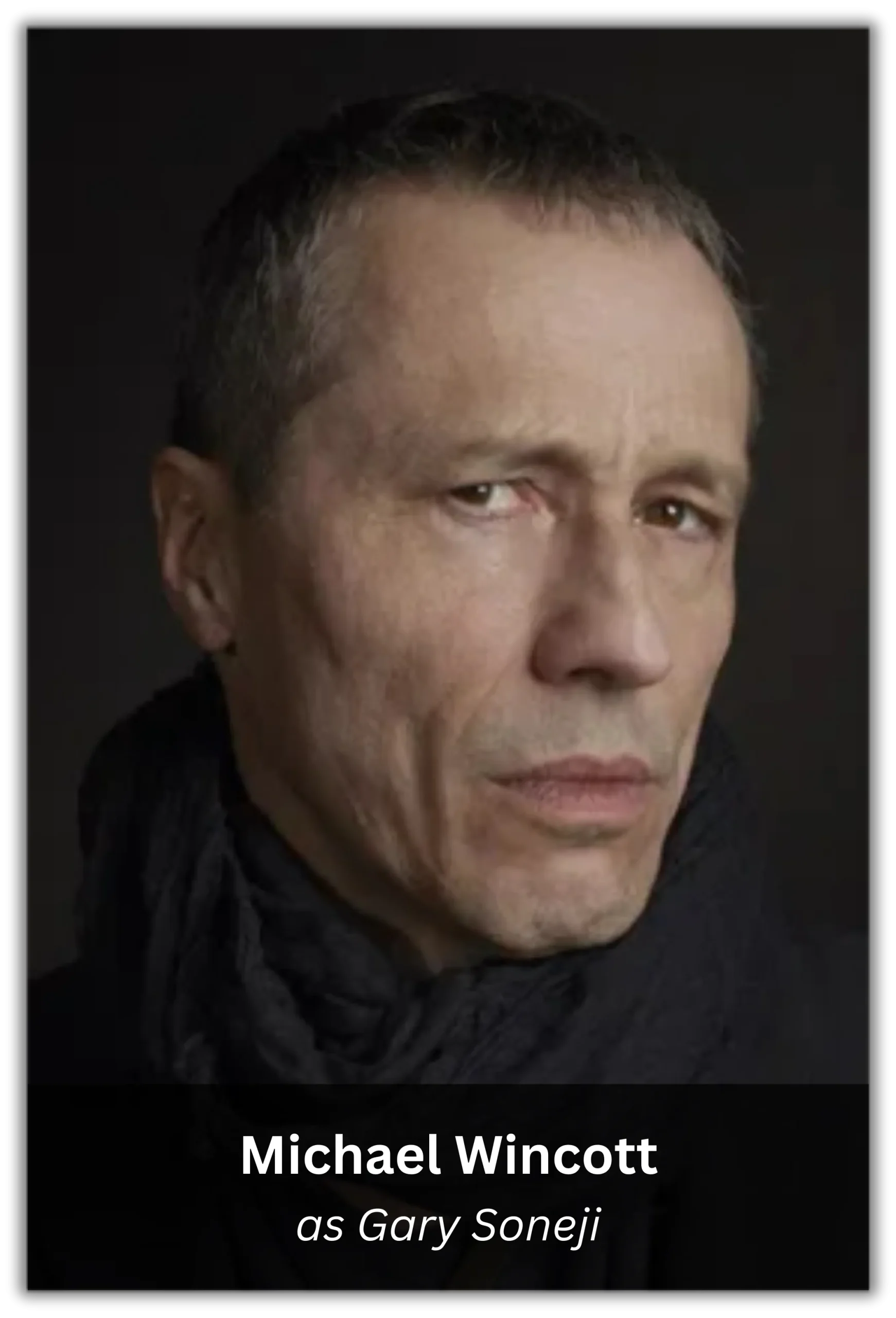 along came a spider (11)