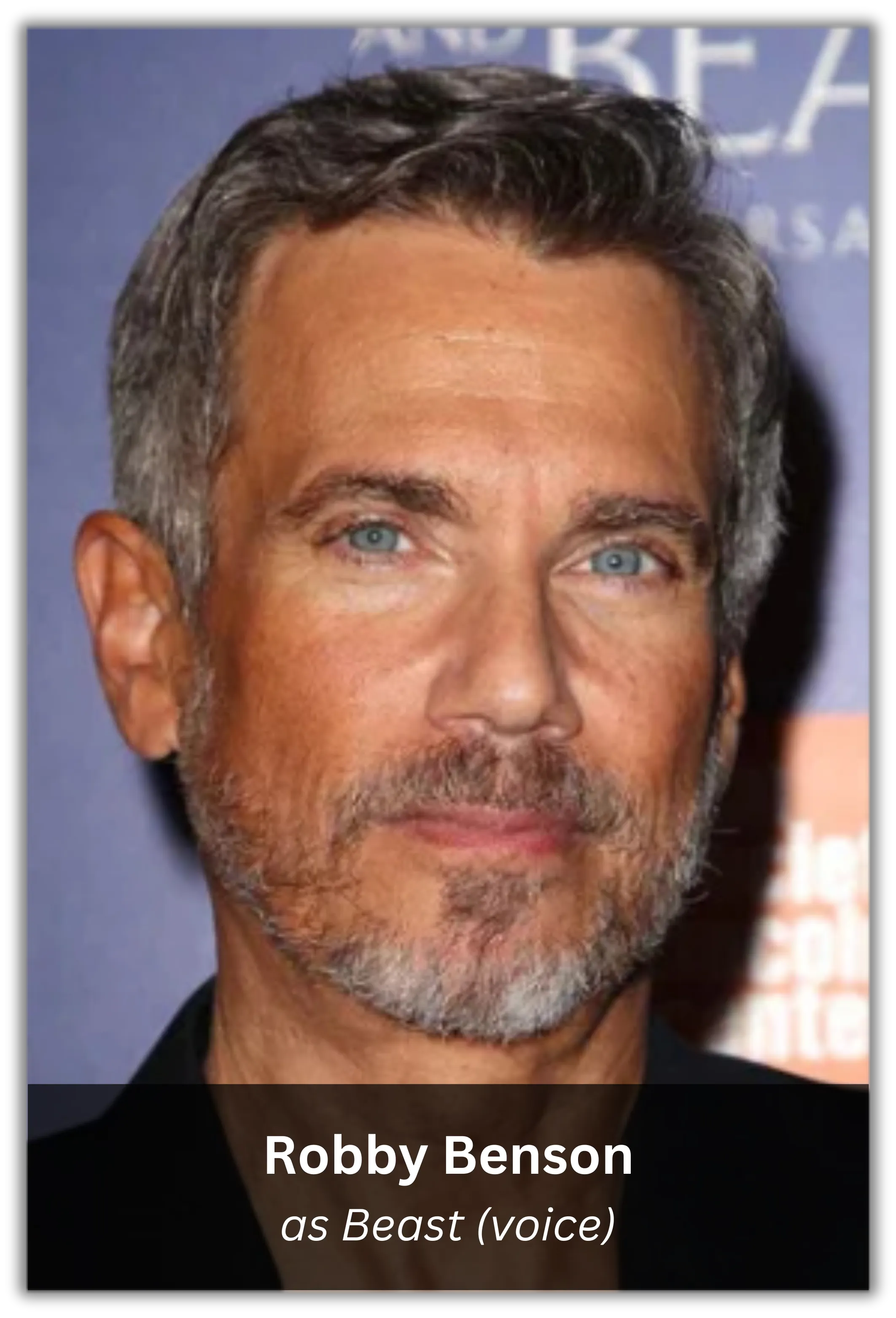 beauty & the beast 1 (8)