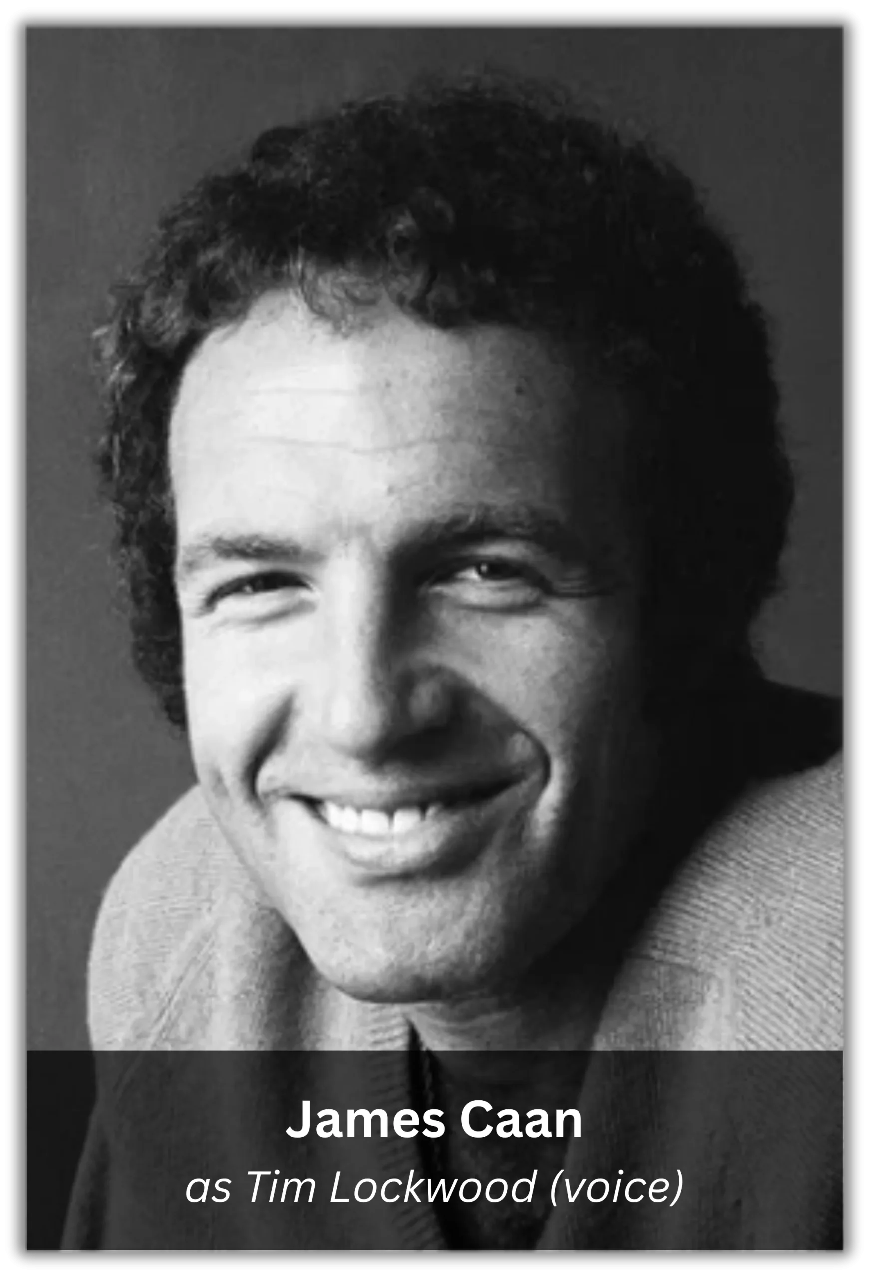 cloudy with a chance of meatballs 2 (6)