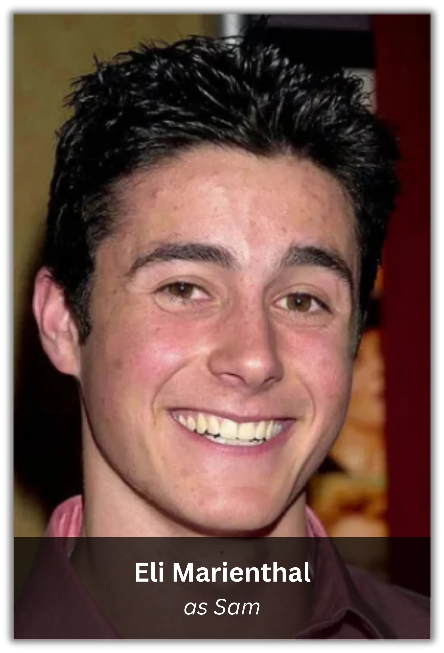 confessions of a teenage drama queen (4)