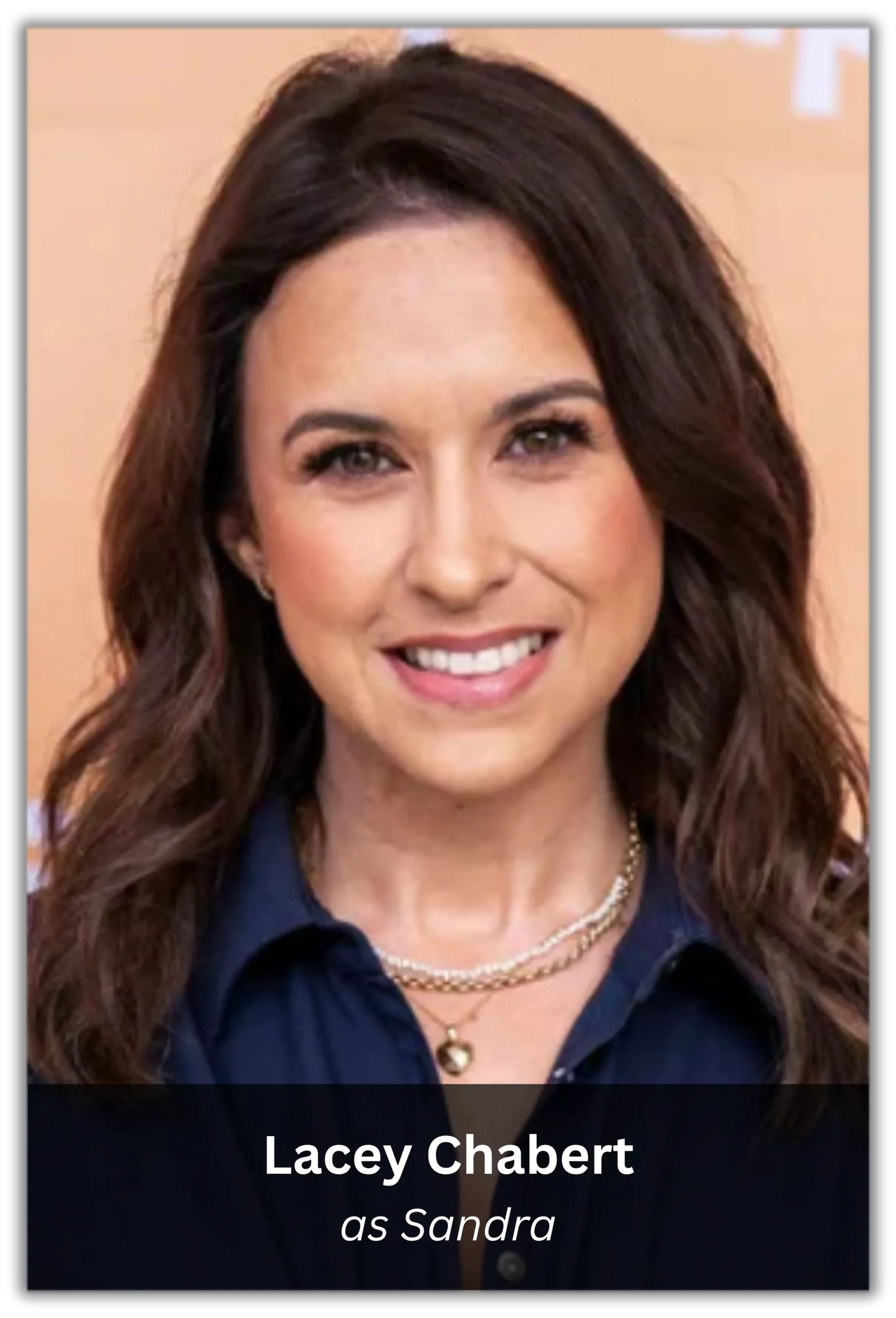 ghosts of girlfriends past (7)