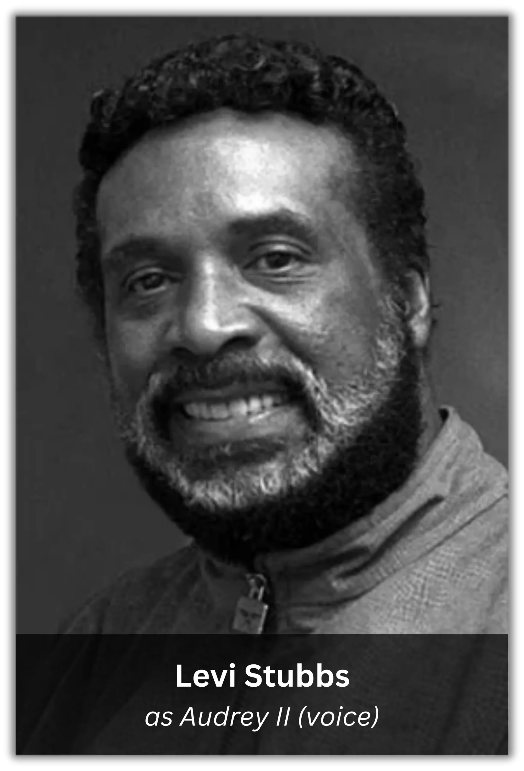 little shop of horrors (9)