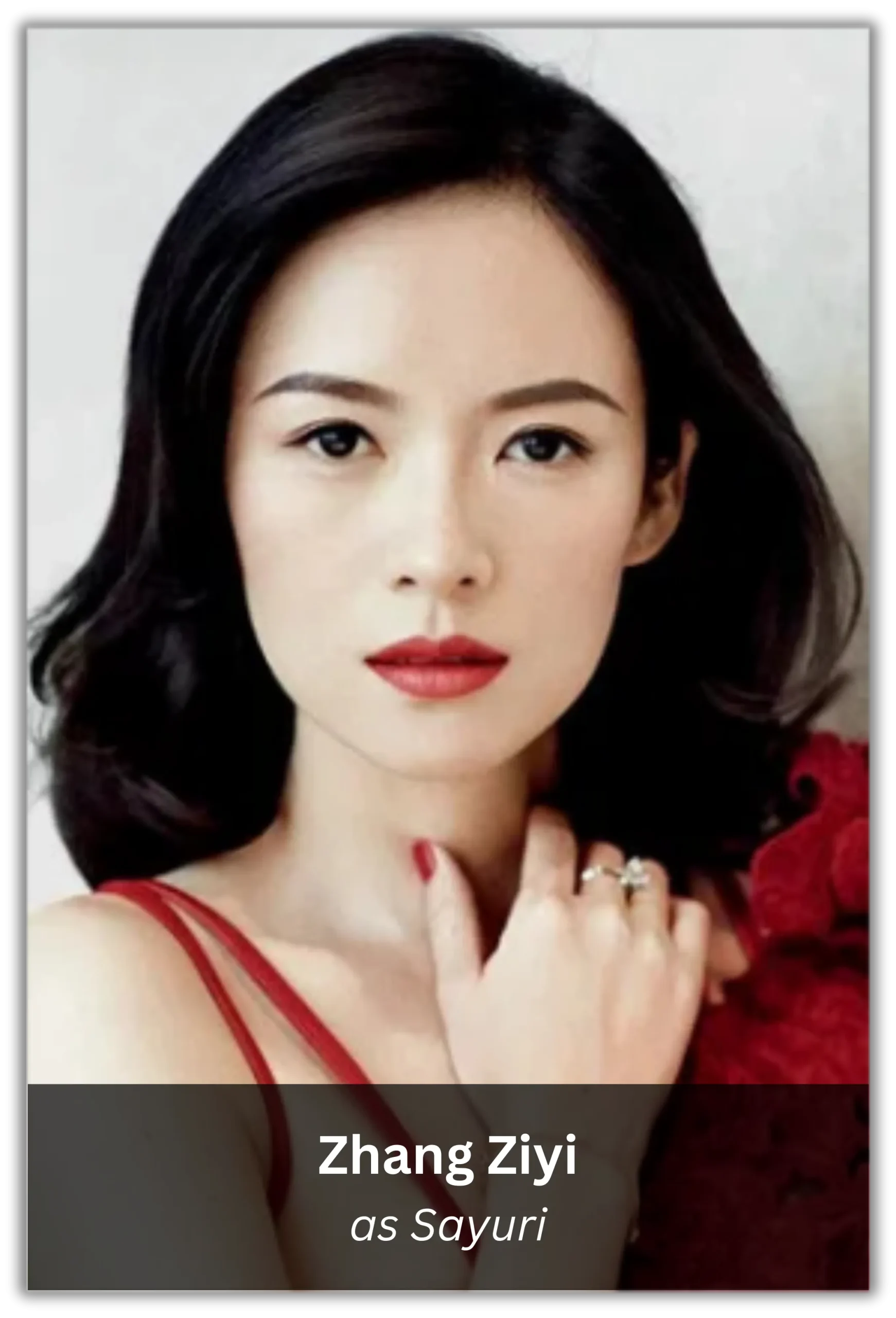 memoirs of a geisha (10)