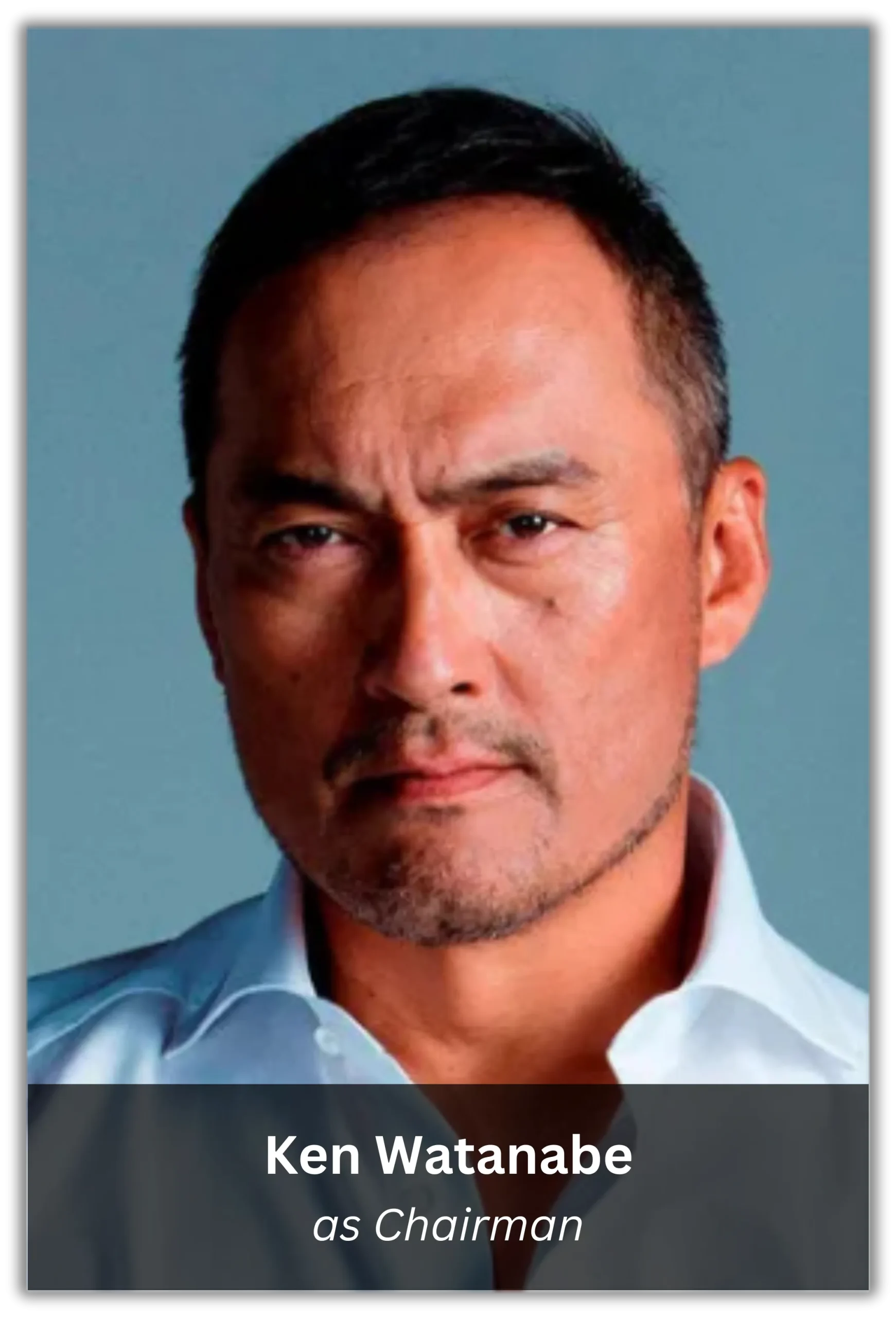 memoirs of a geisha (11)