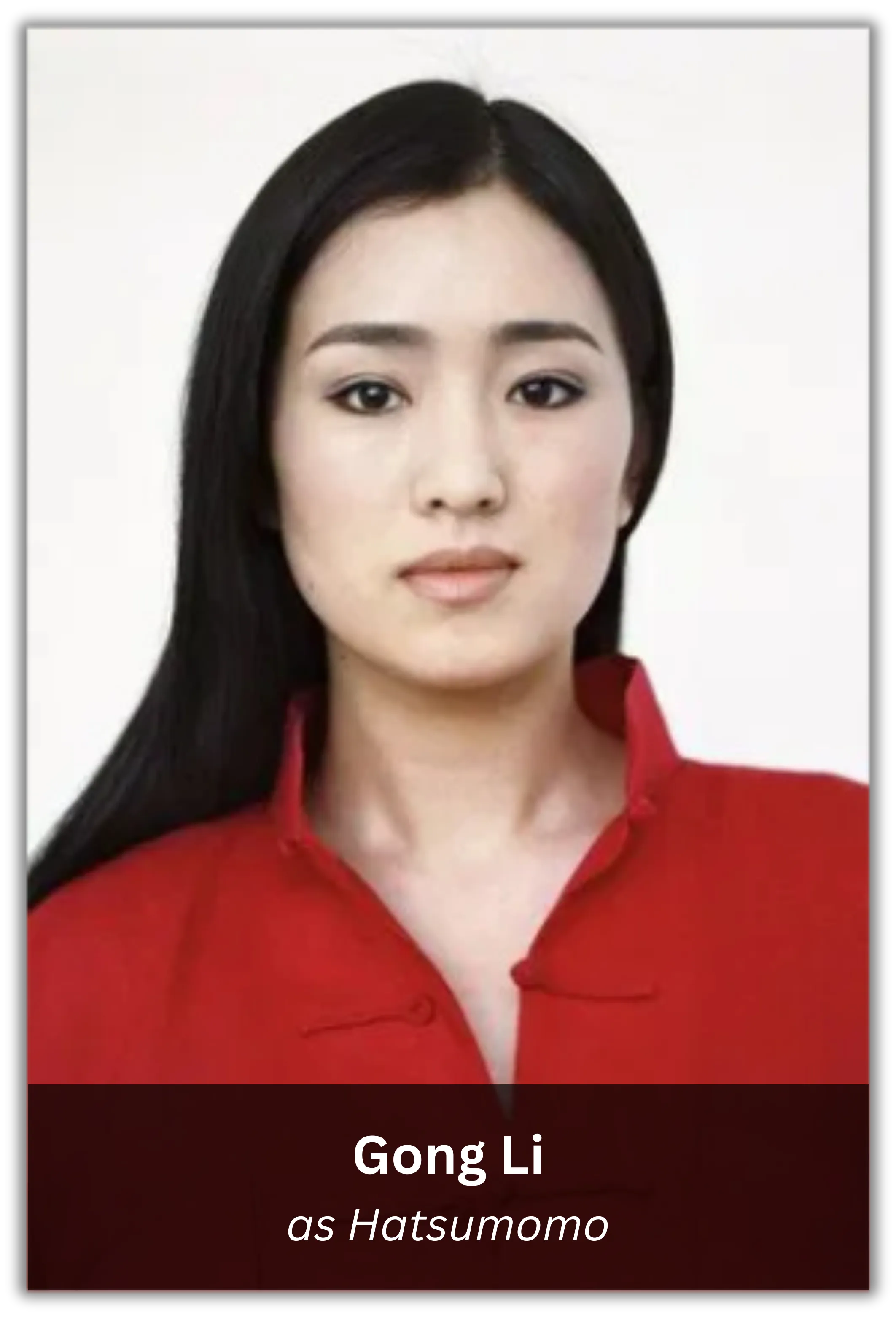 memoirs of a geisha (5)