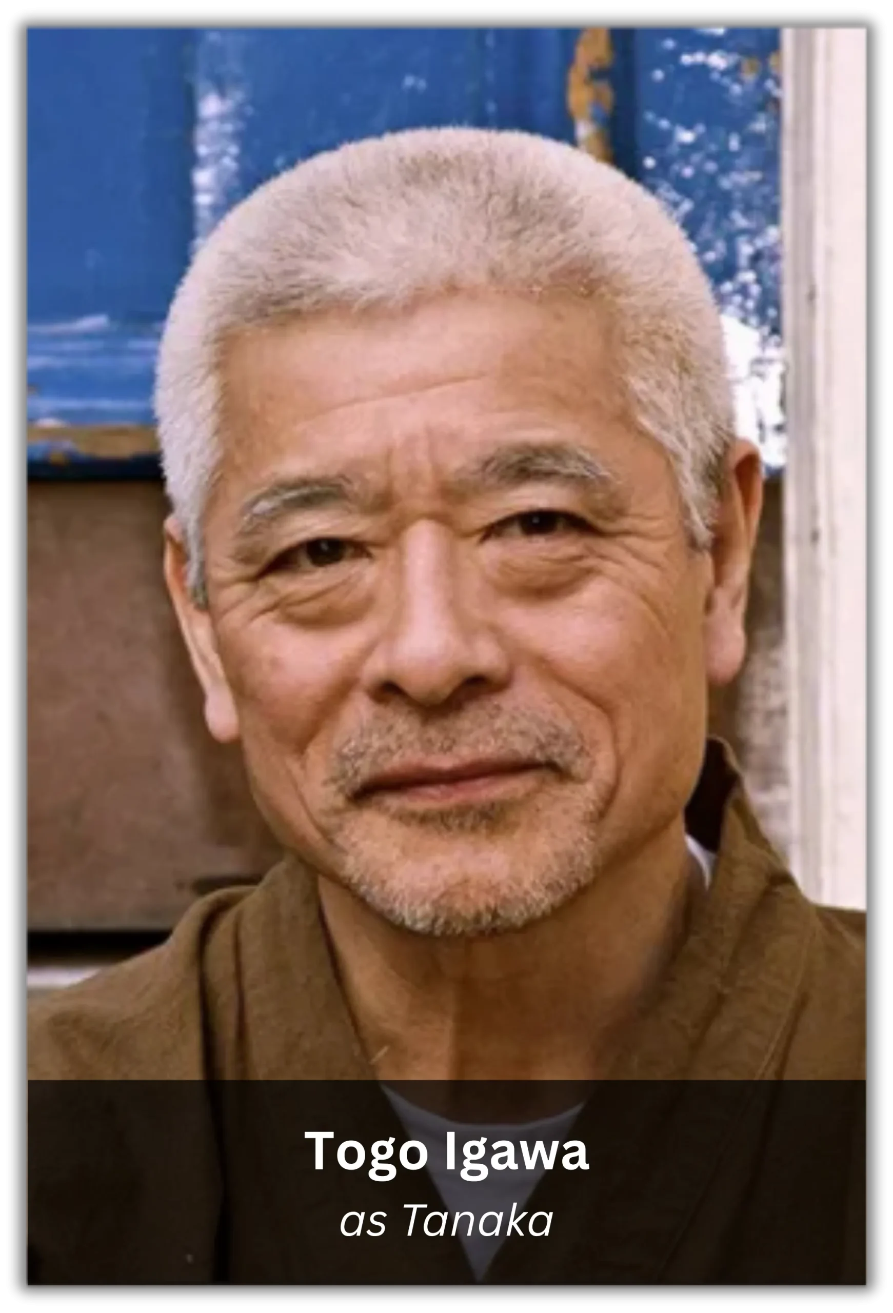 memoirs of a geisha (6)