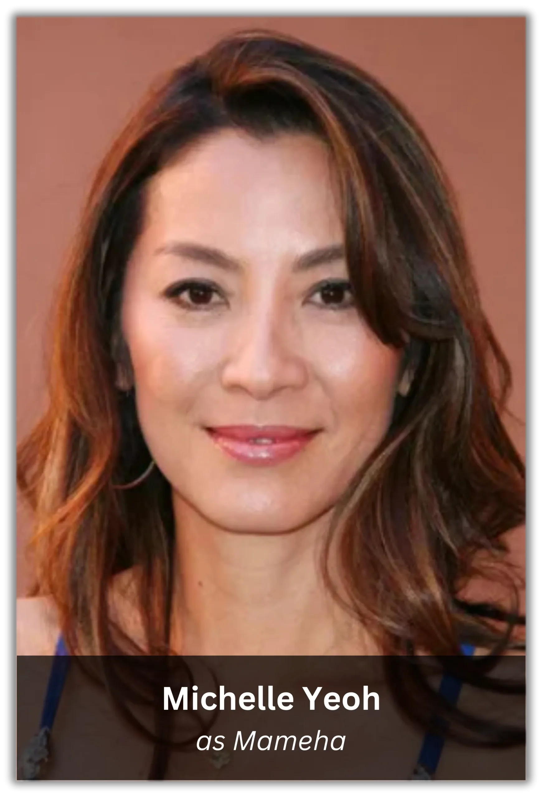 memoirs of a geisha (7)