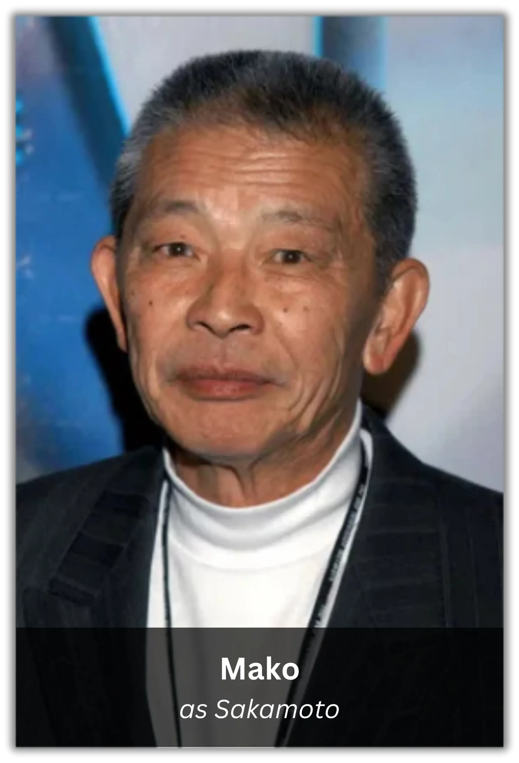 memoirs of a geisha (8)