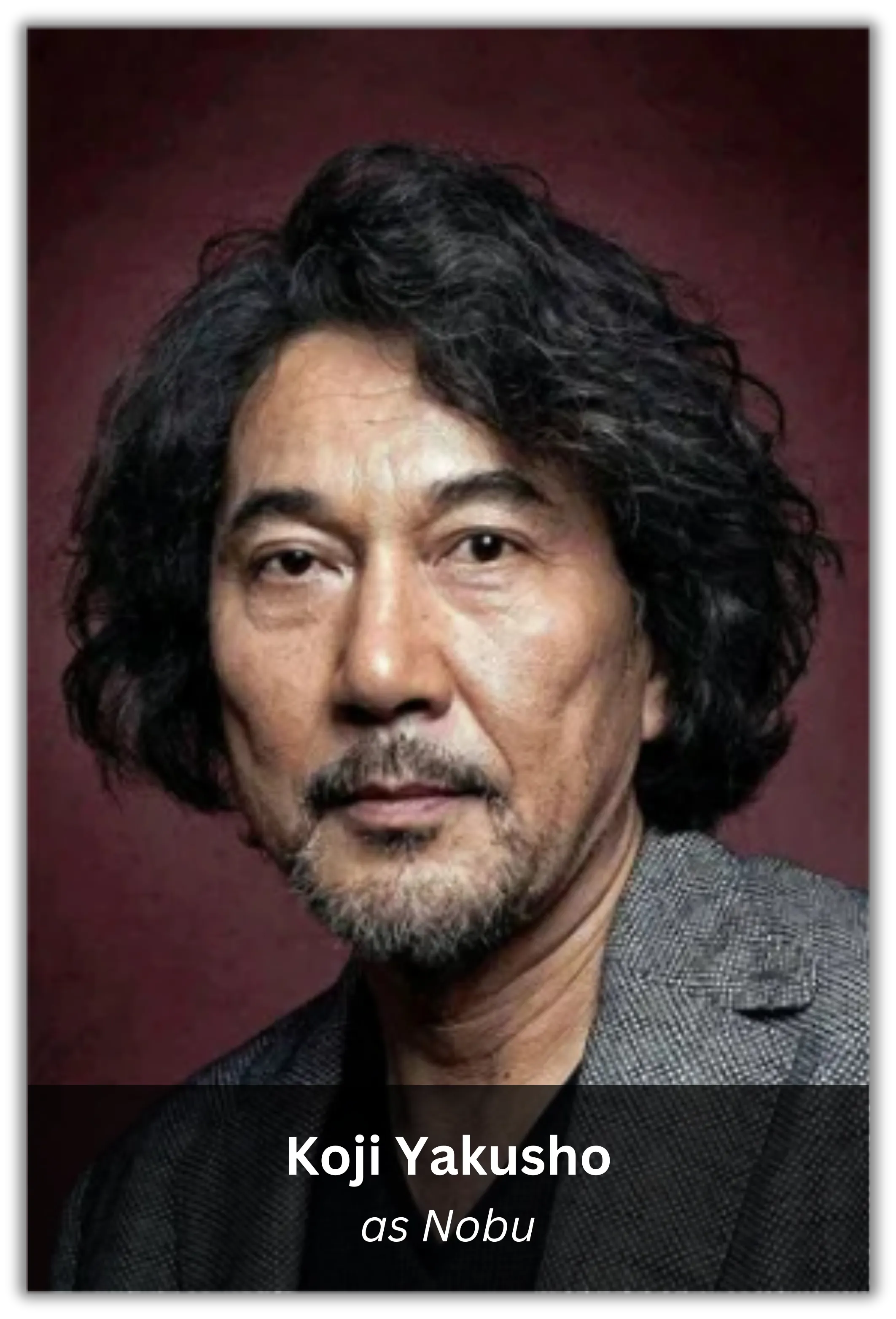 memoirs of a geisha (9)