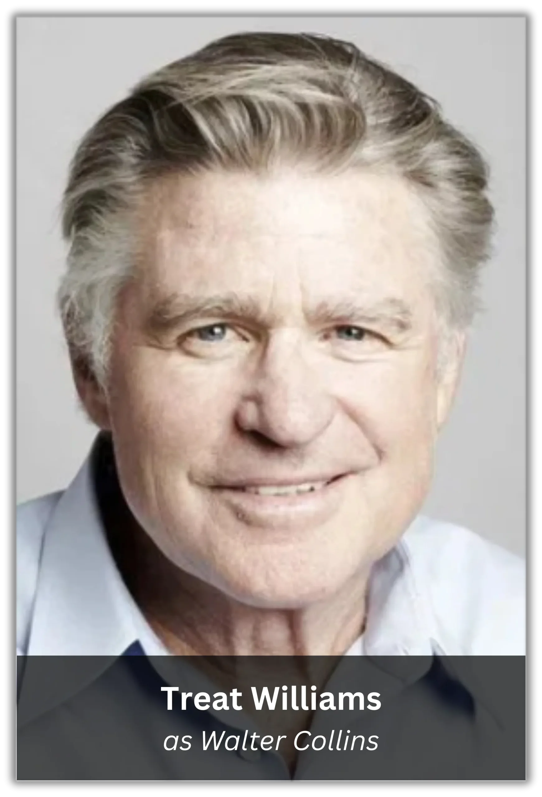 miss congeniality 2 (7)