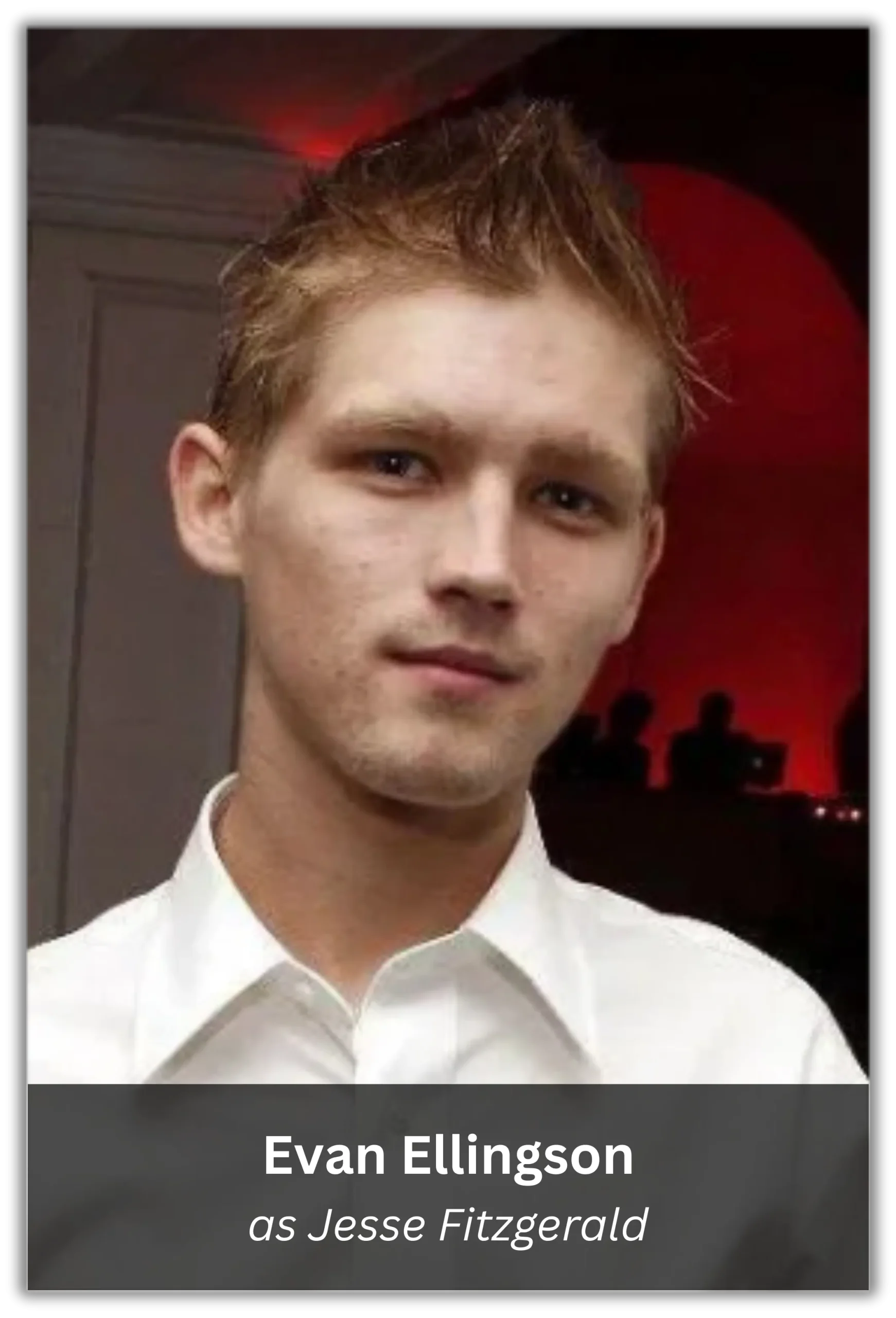 my sisters keeper (2)