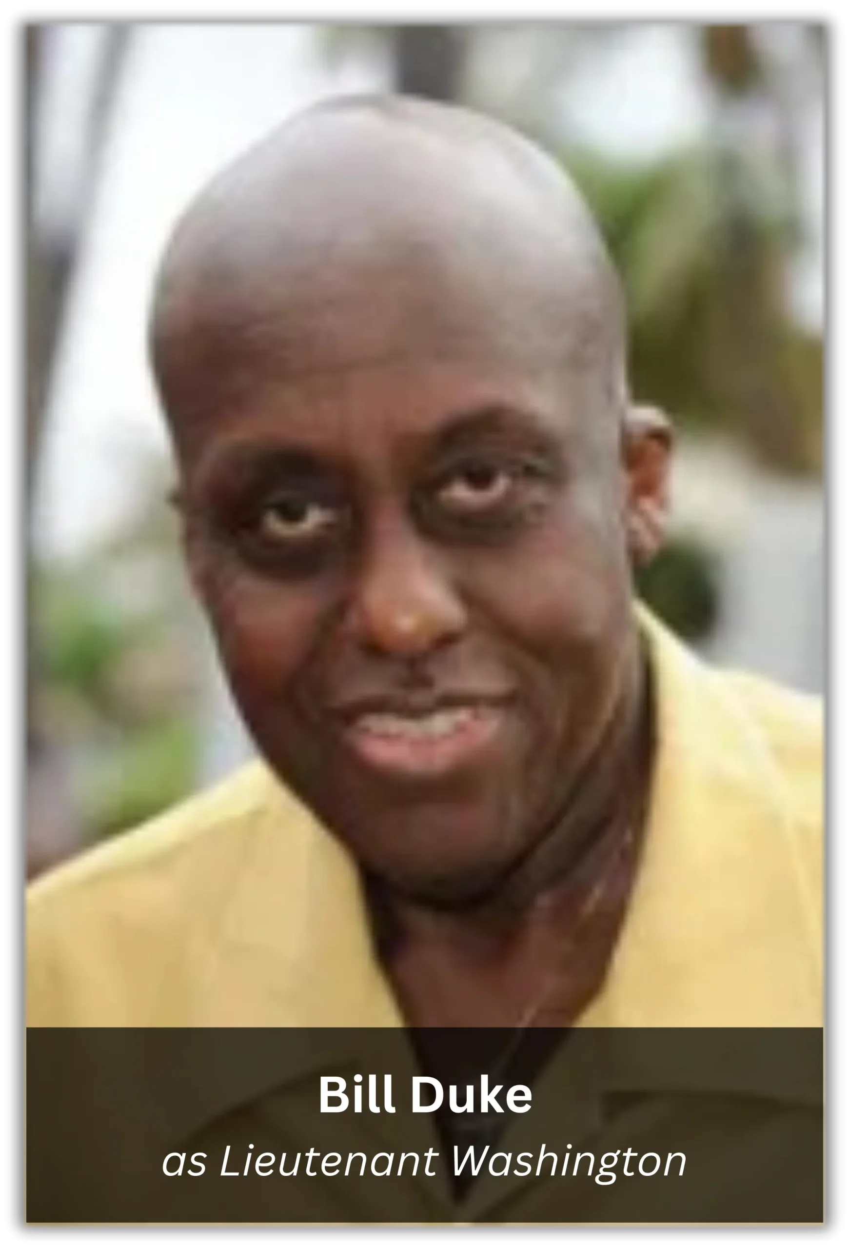 national security (10)