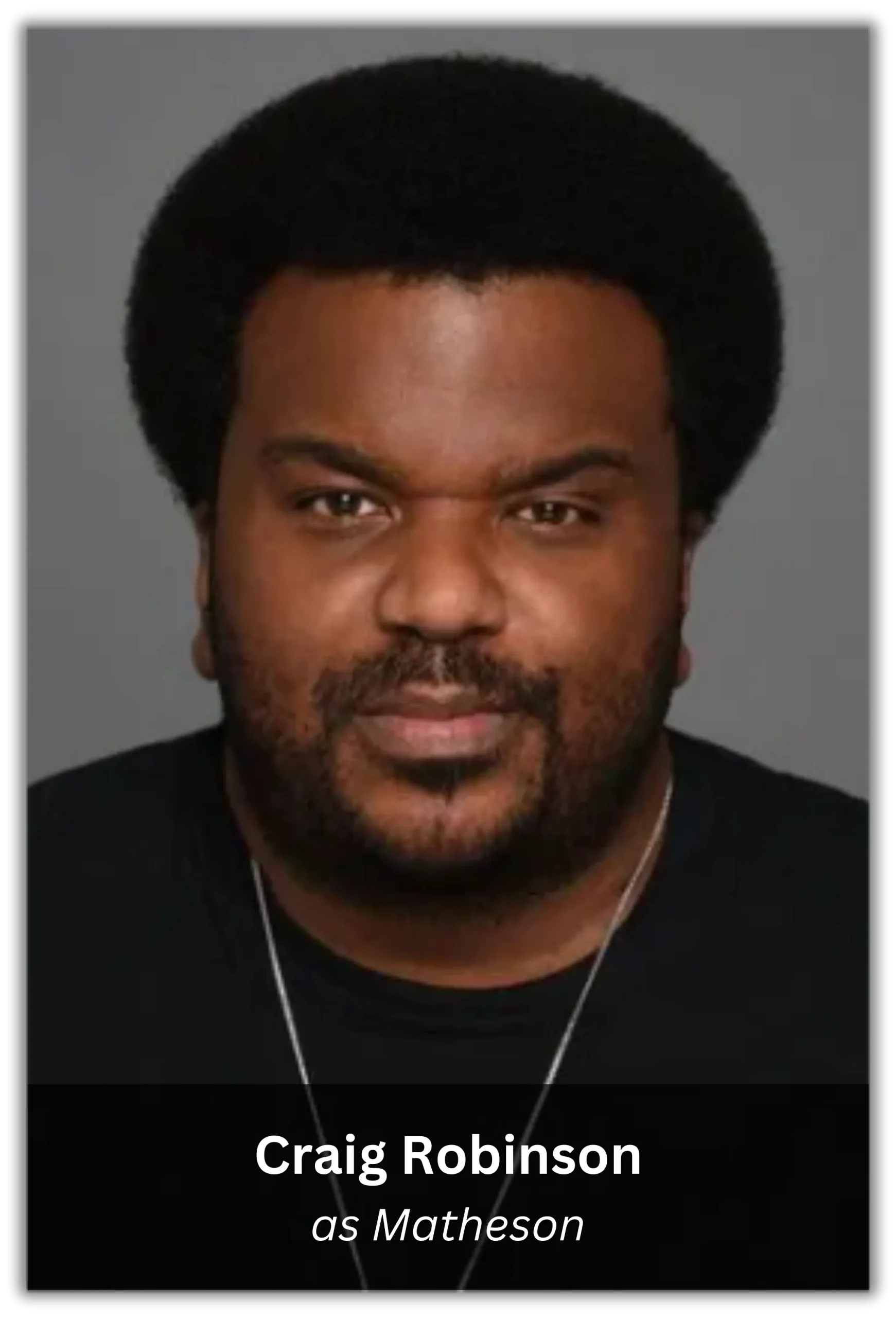 pineapple express (2)