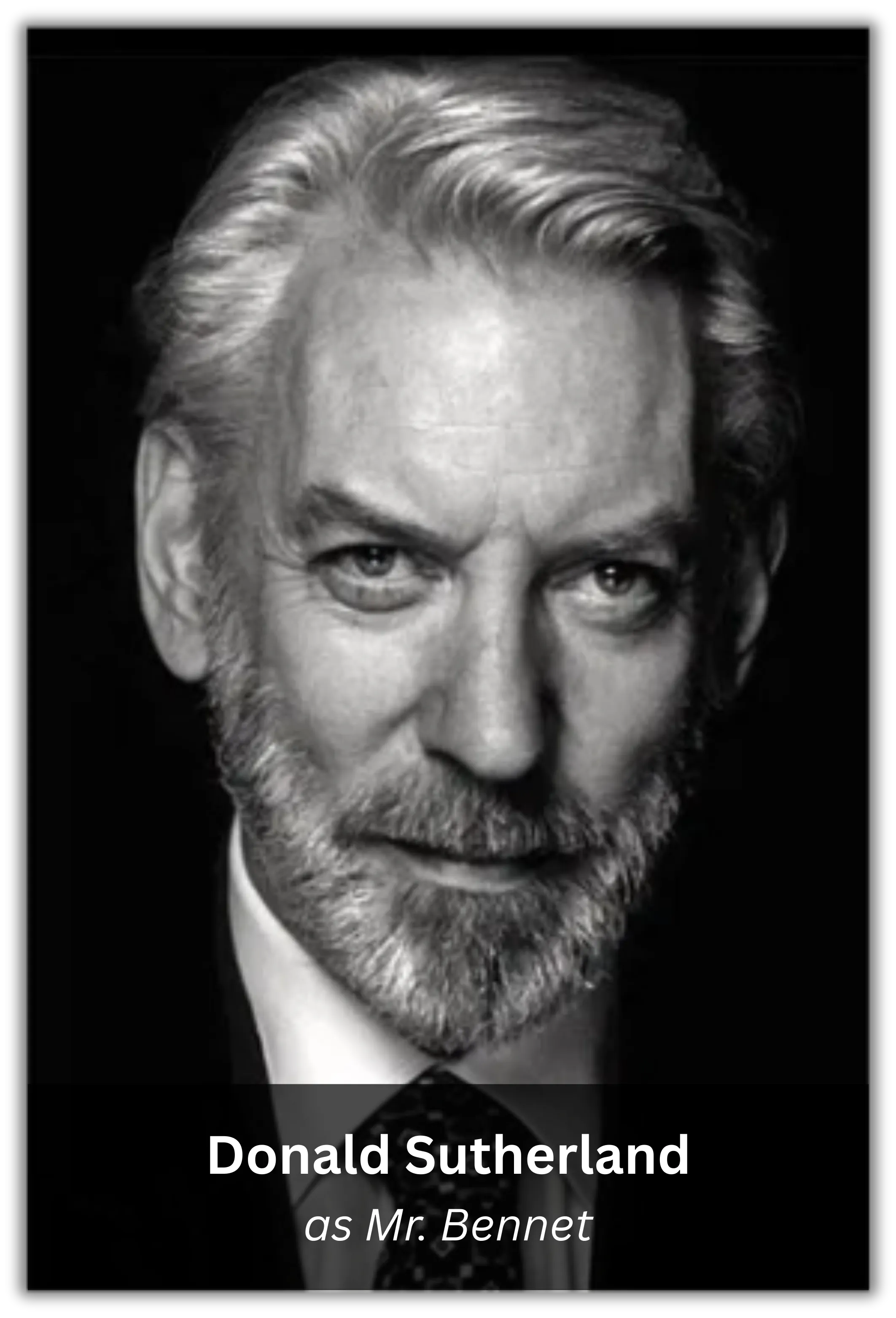 pride & prejudice (4)