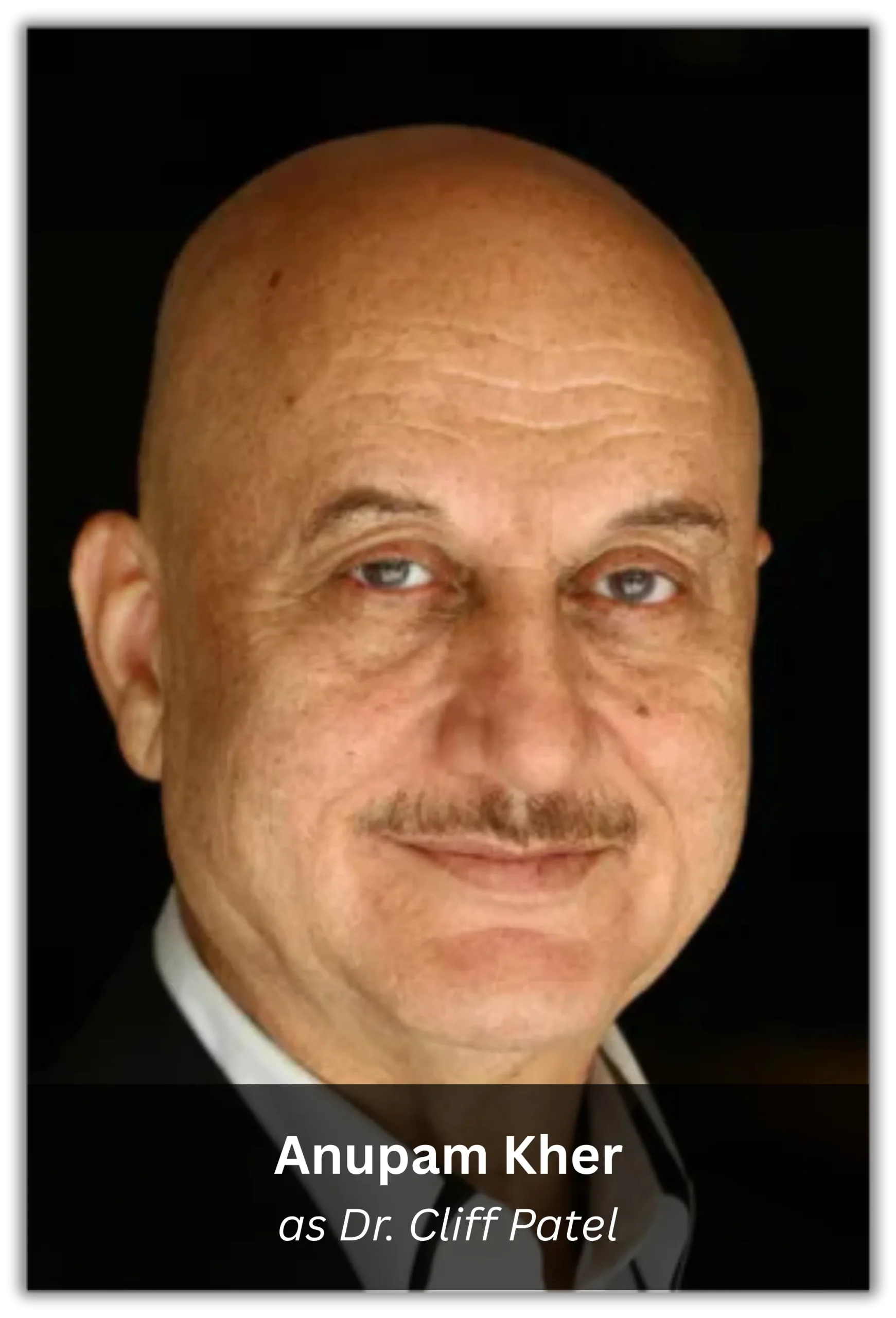 silver linings playbook (10)