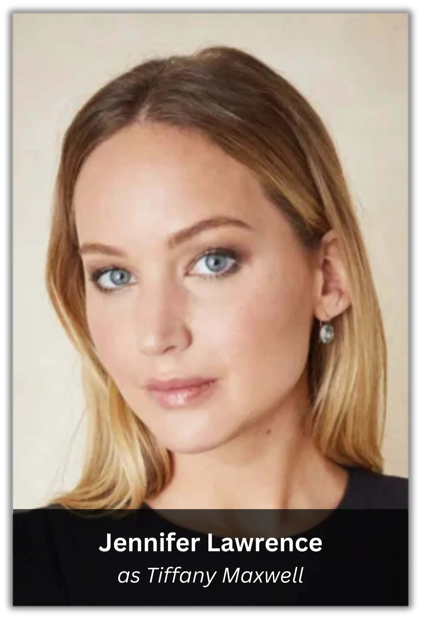 silver linings playbook (11)