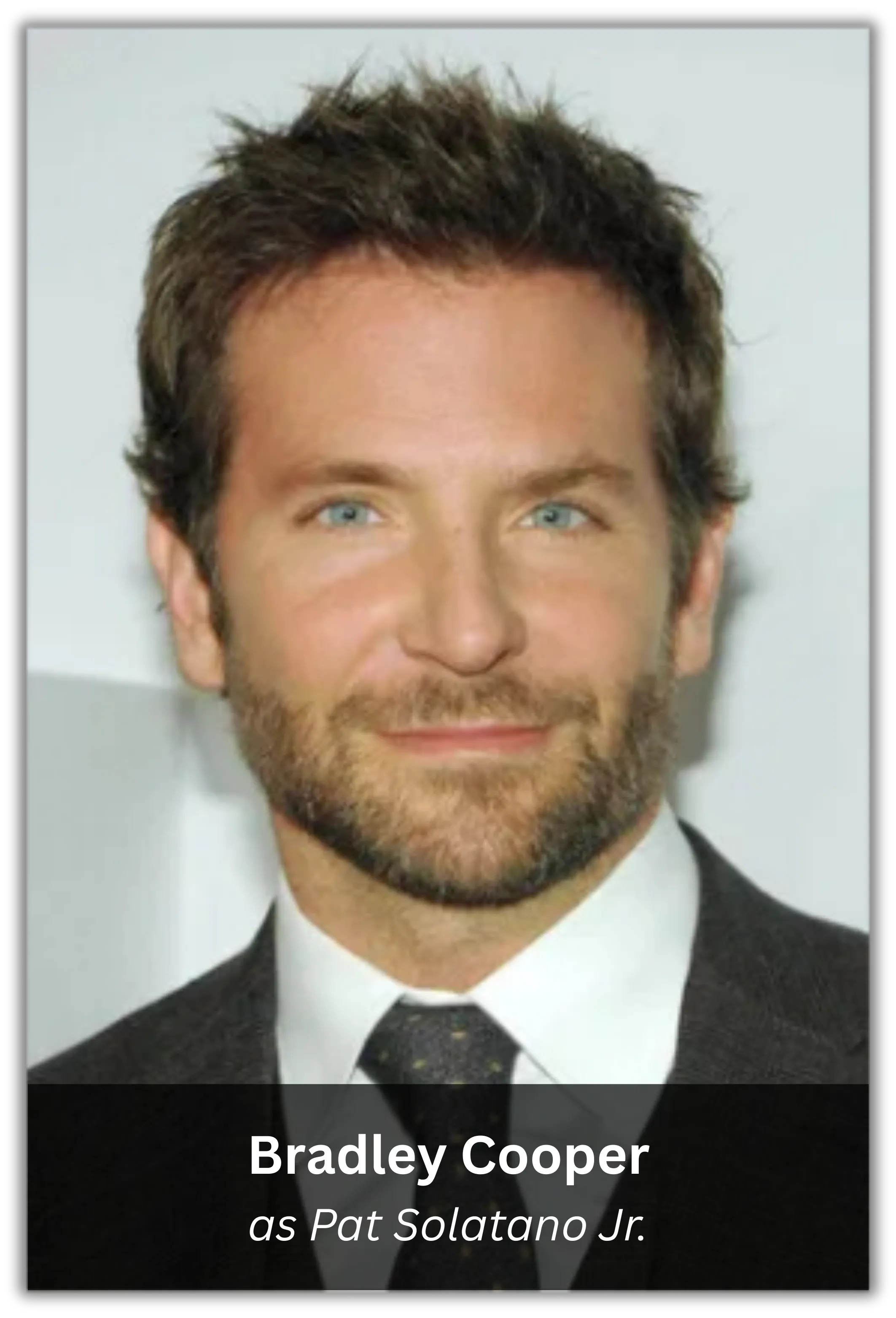 silver linings playbook (3)