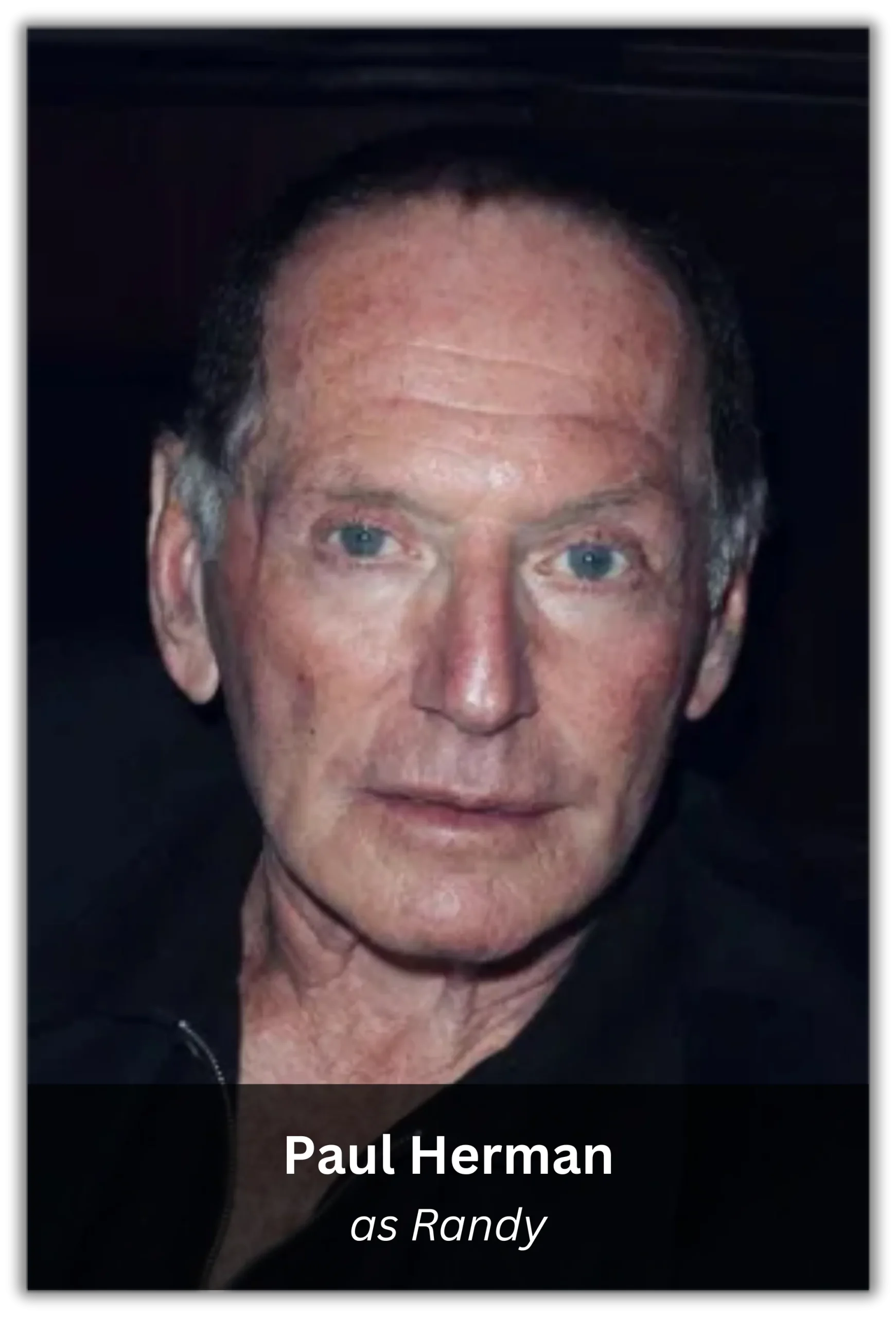 silver linings playbook (5)