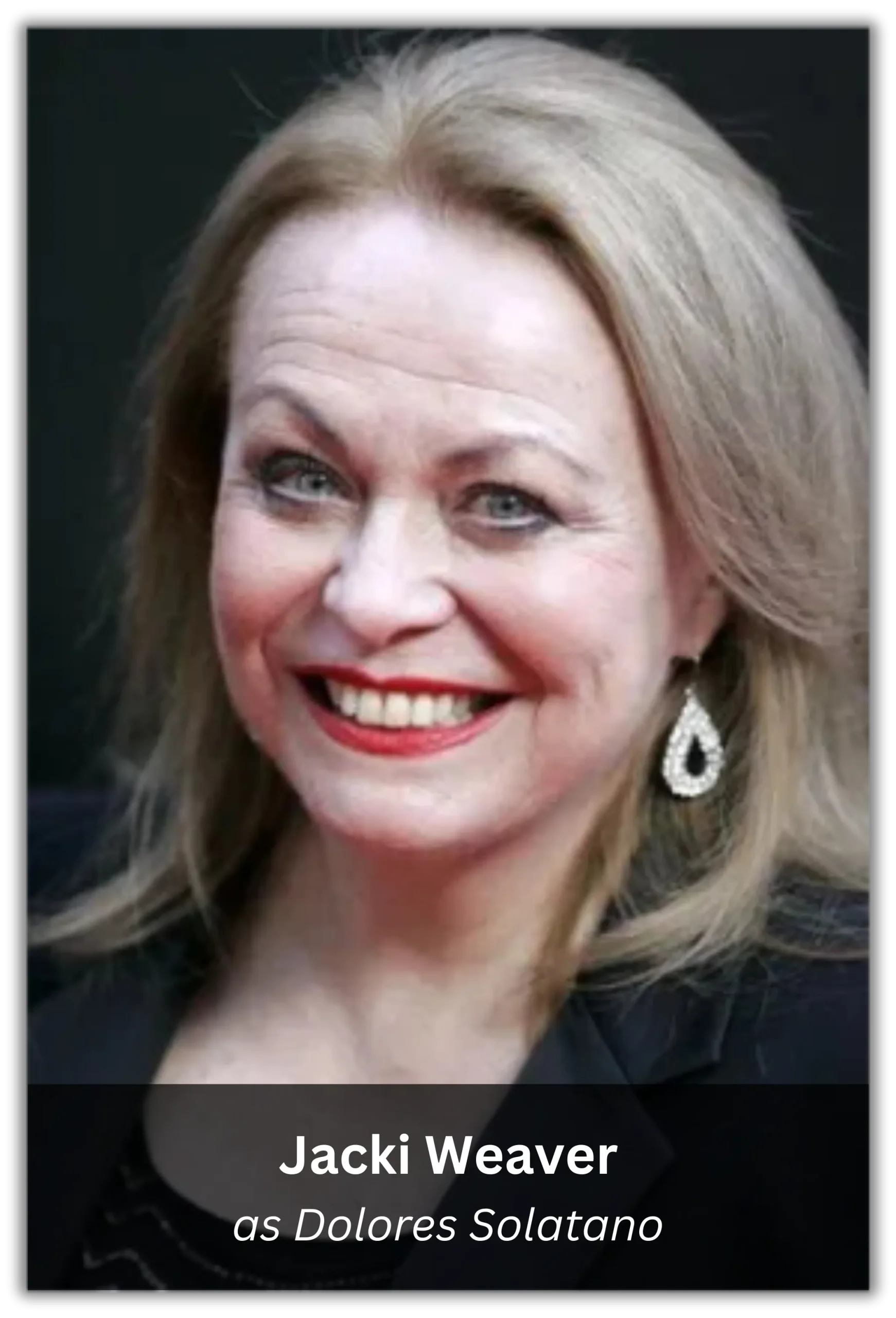 silver linings playbook (6)