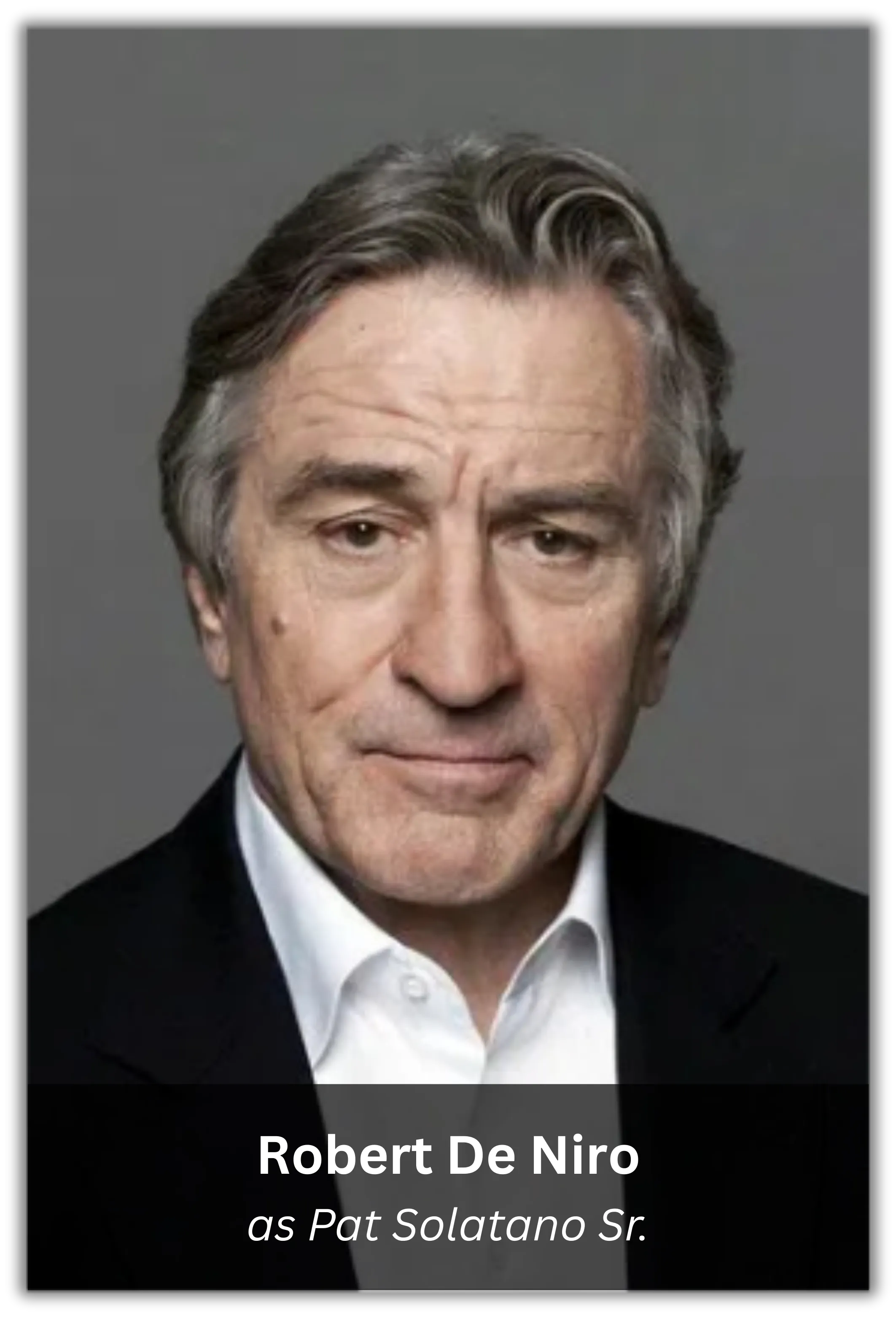 silver linings playbook (7)