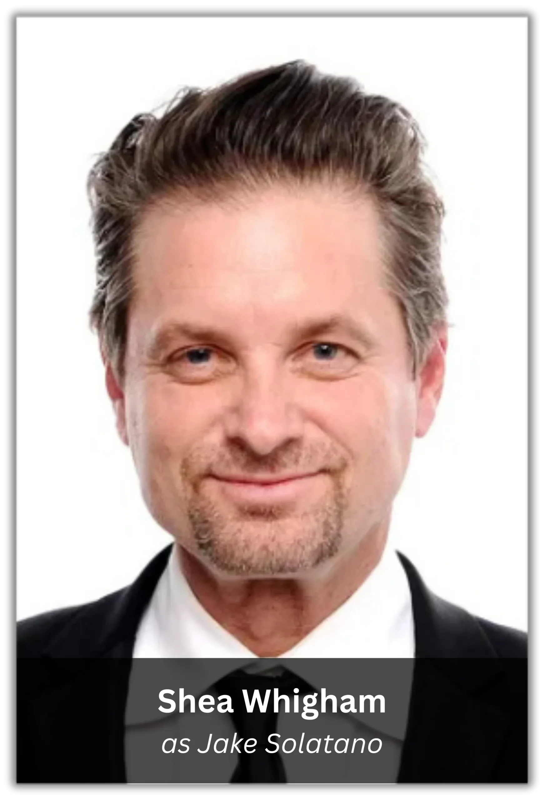 silver linings playbook (8)