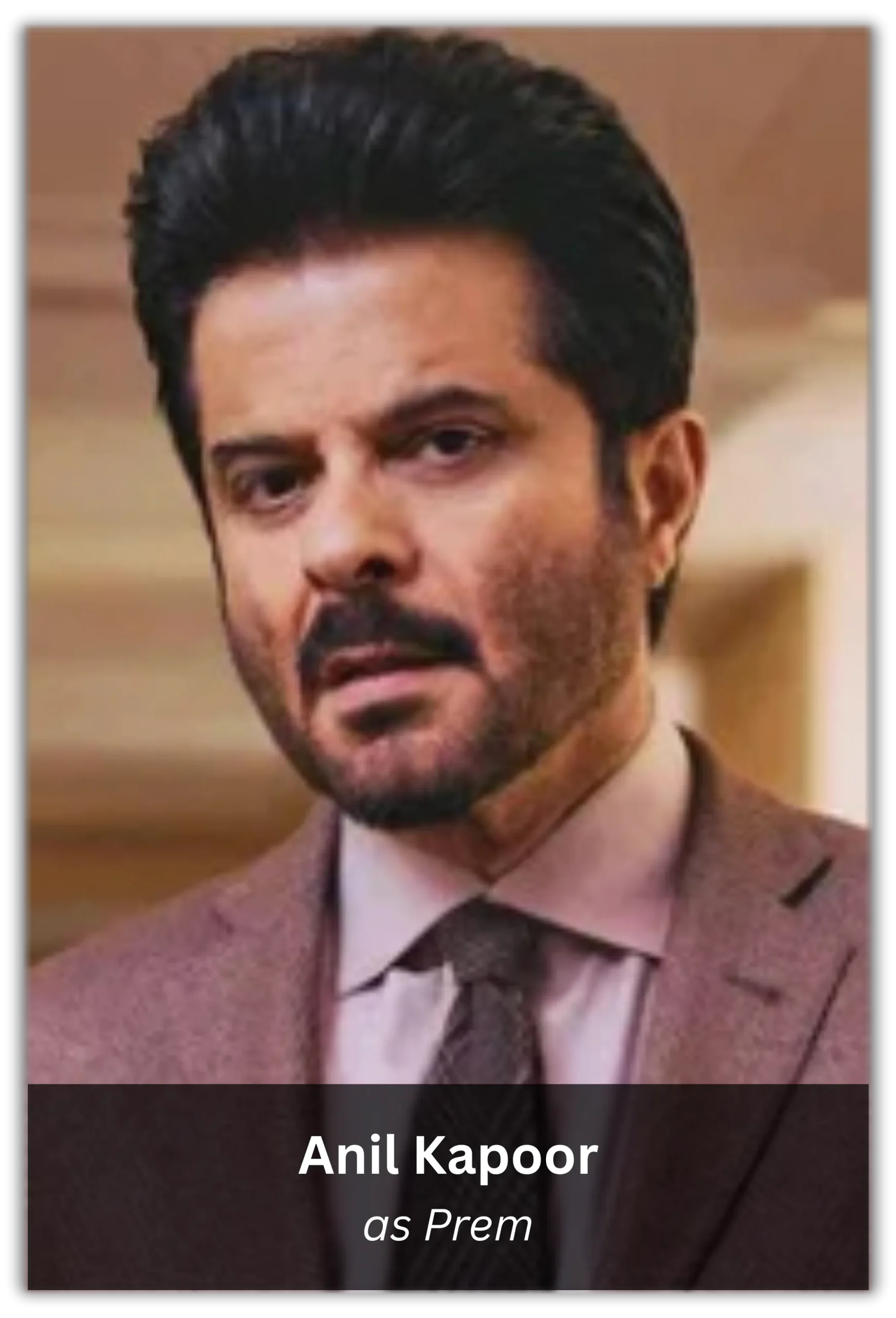 slumdog millionaire (3)