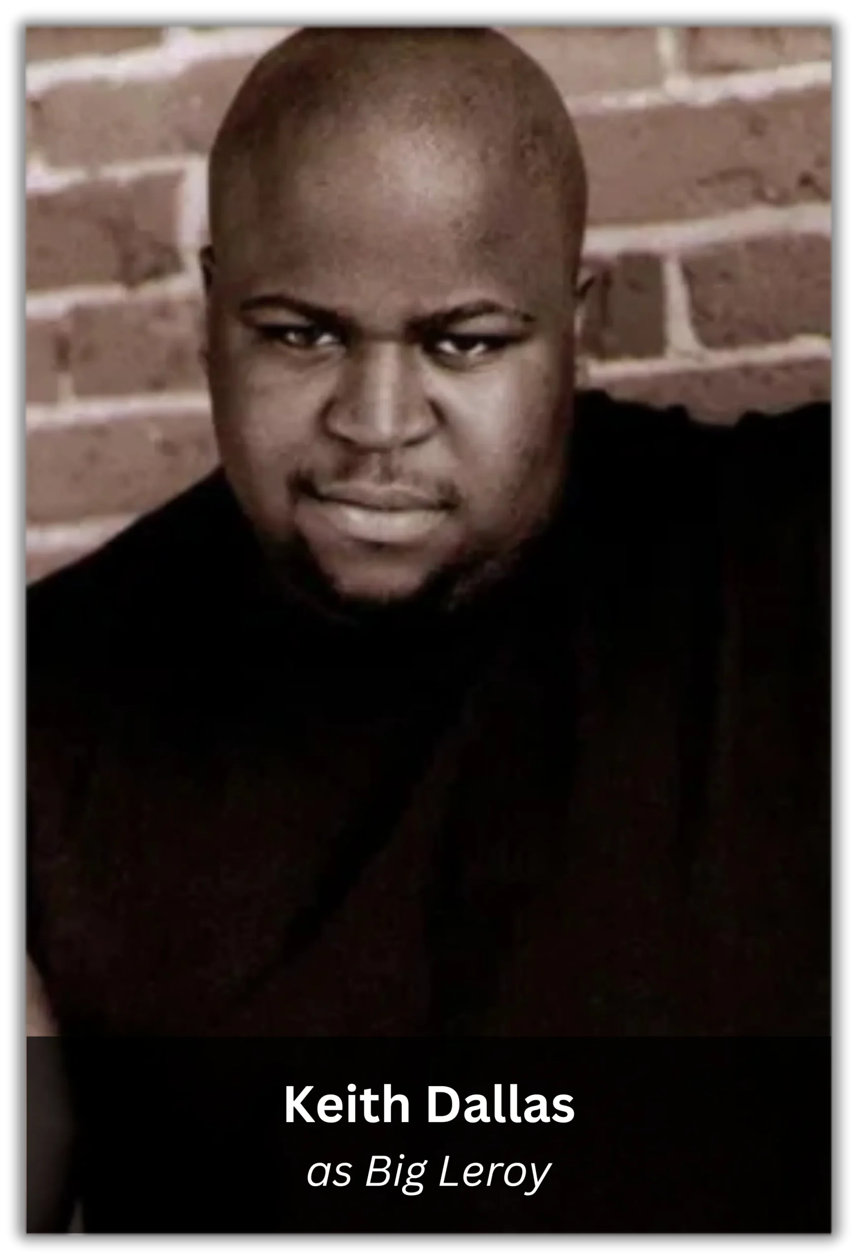 snakes on a plane (2)