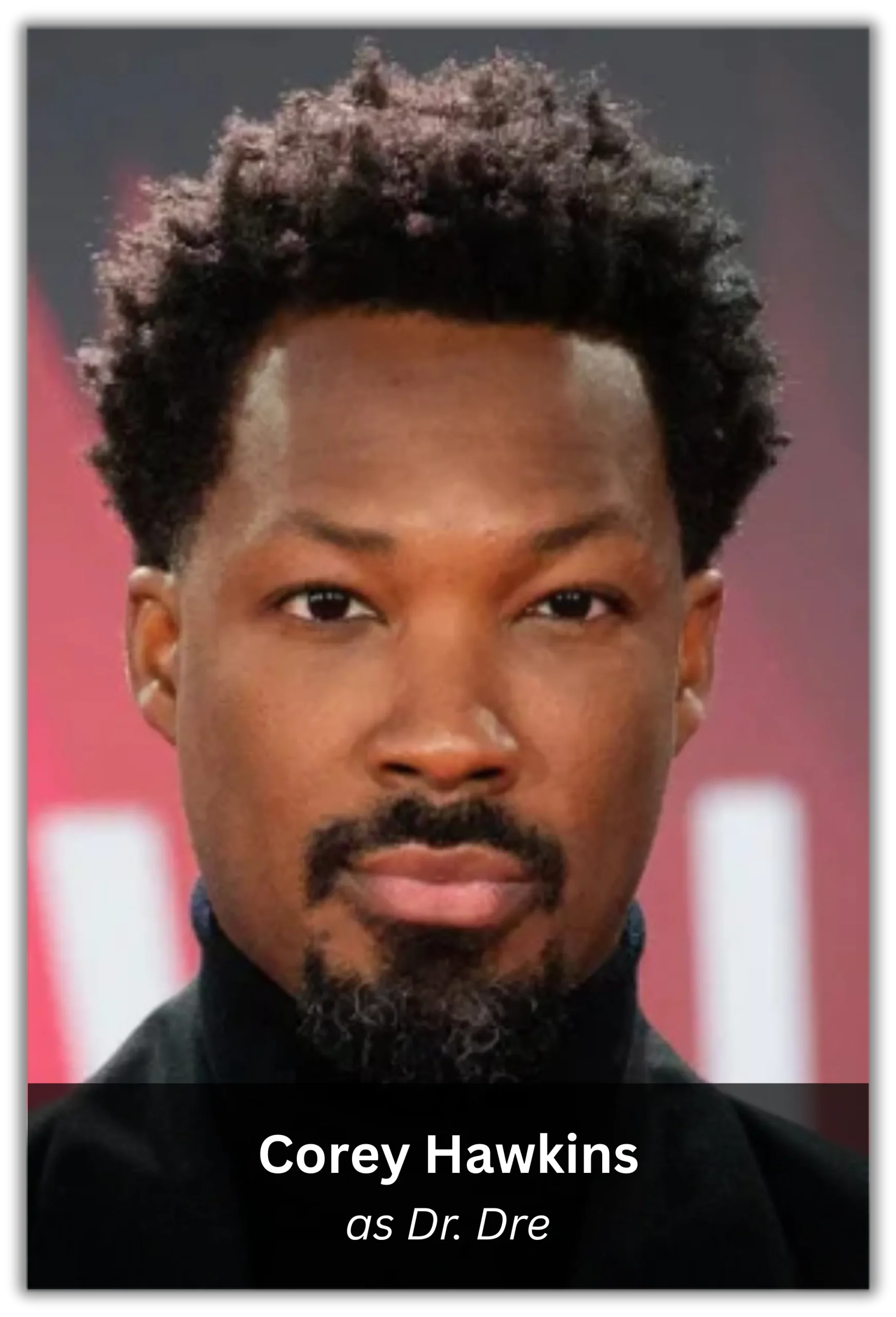 straight outta compton (10)