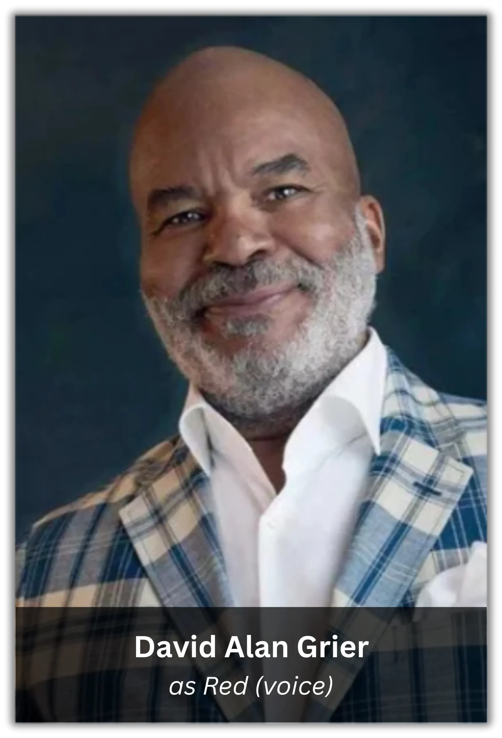 stuart little 1 (11)